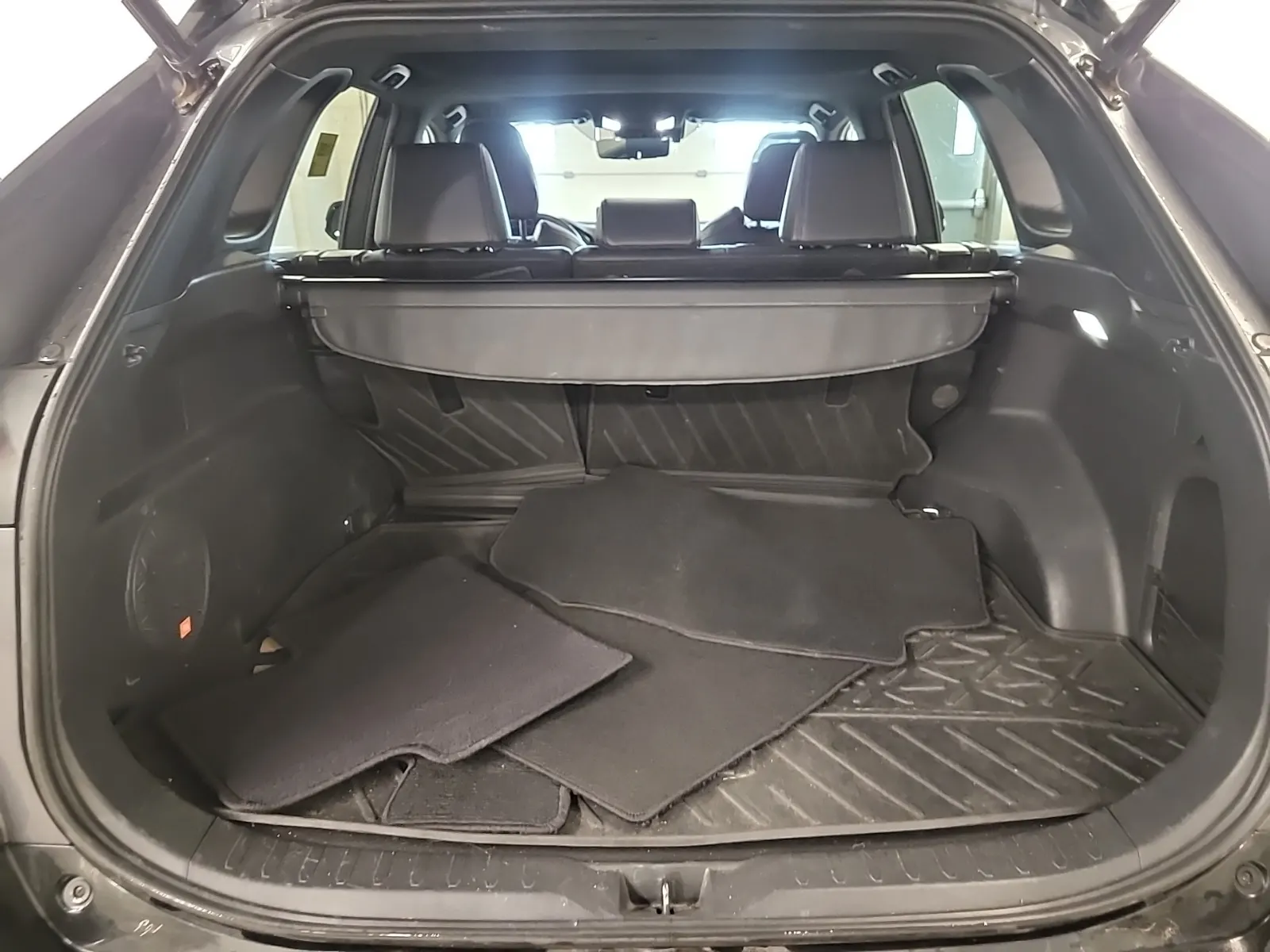 Cargo Area Photo