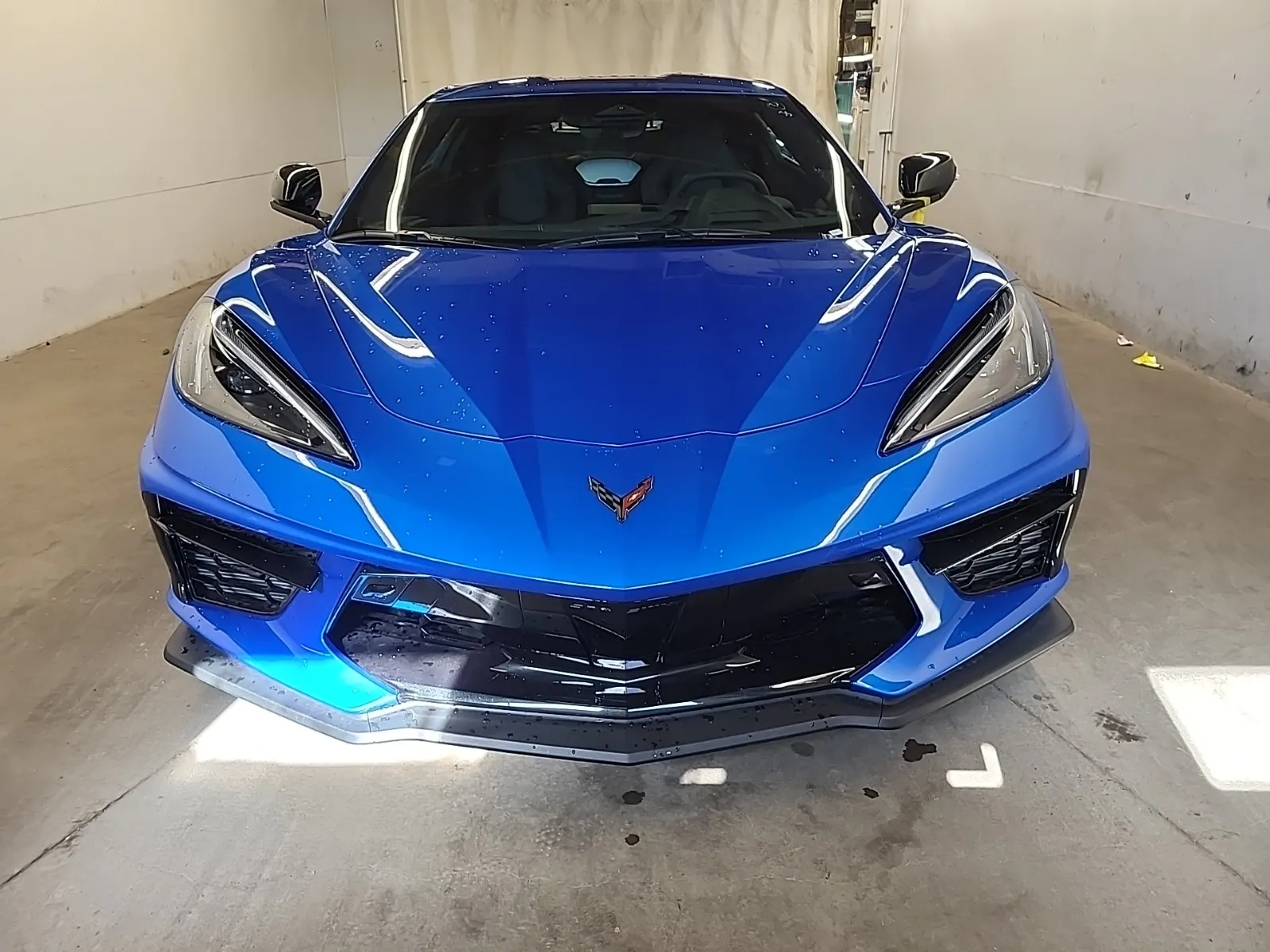 Full Front Photo