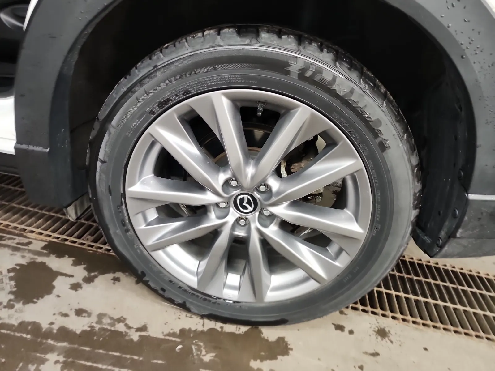 Left Rear Wheel/Tire Photo