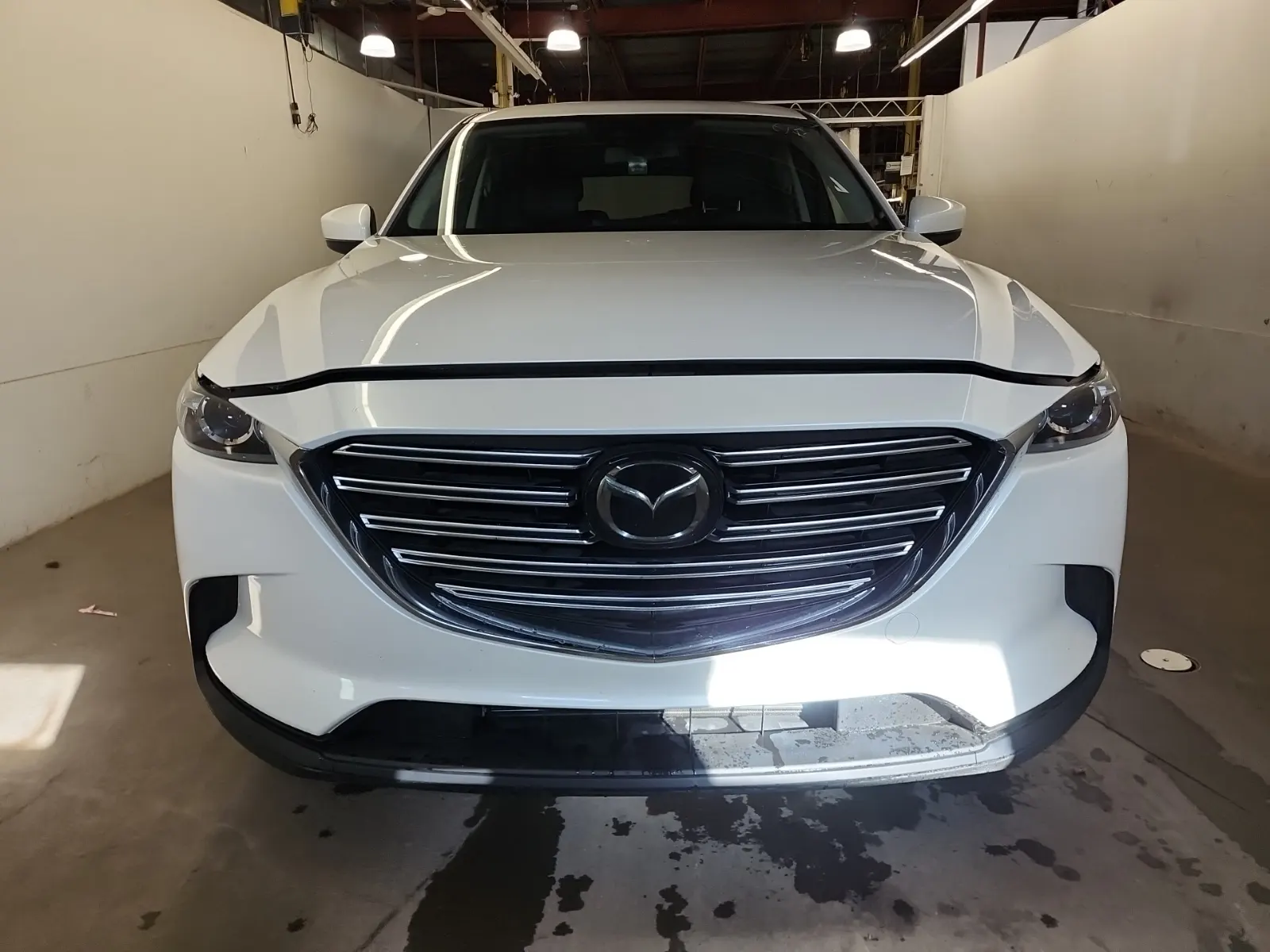 Full Front Photo
