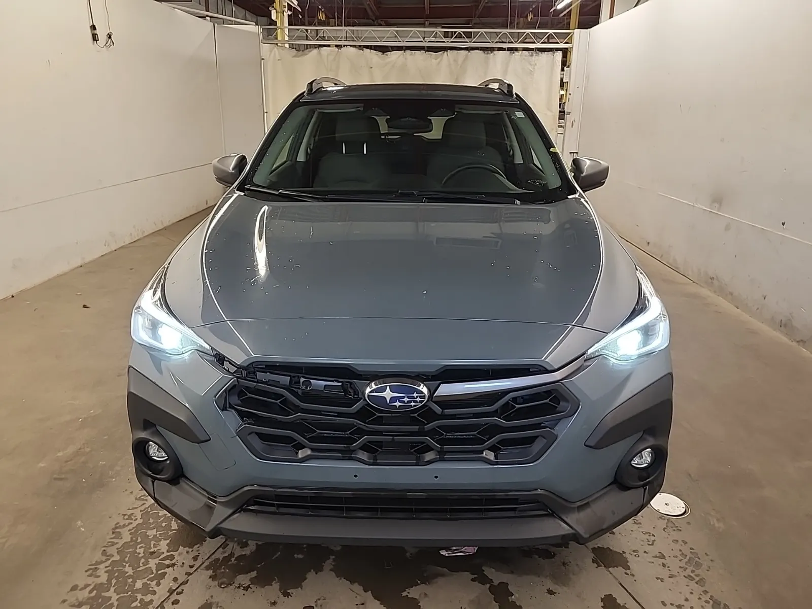 Full Front Photo