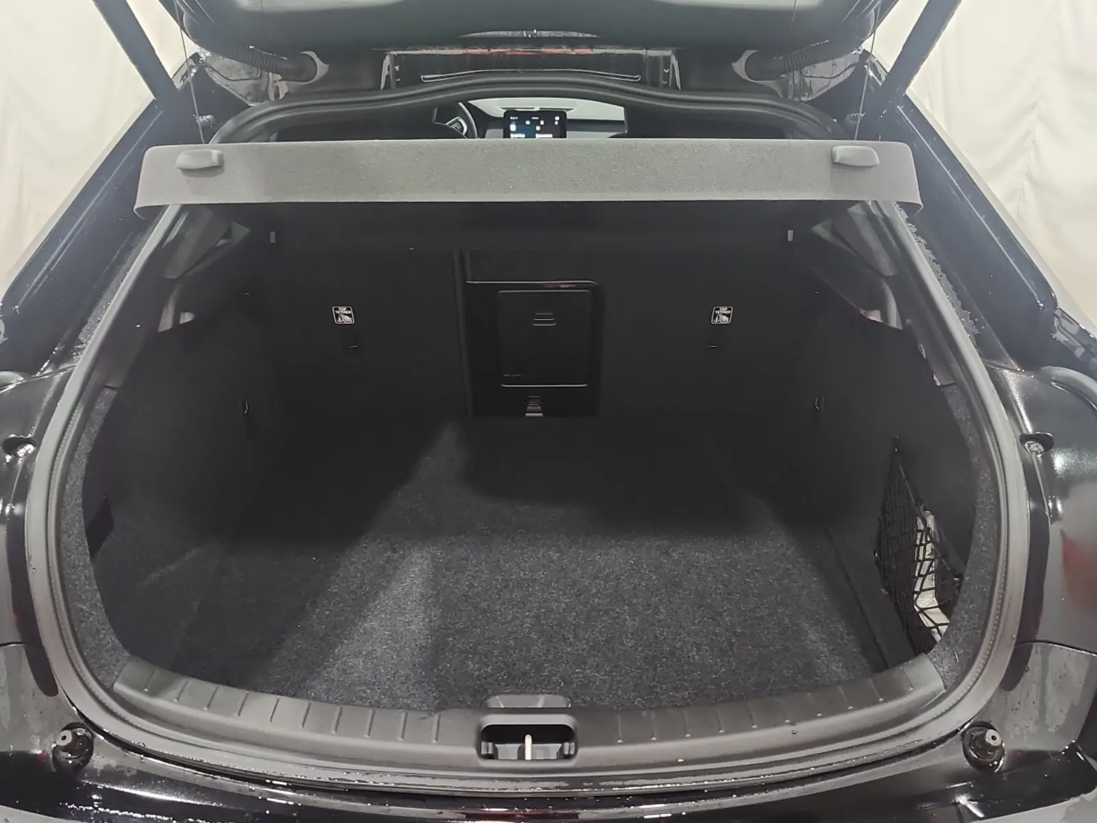 Cargo Area Photo