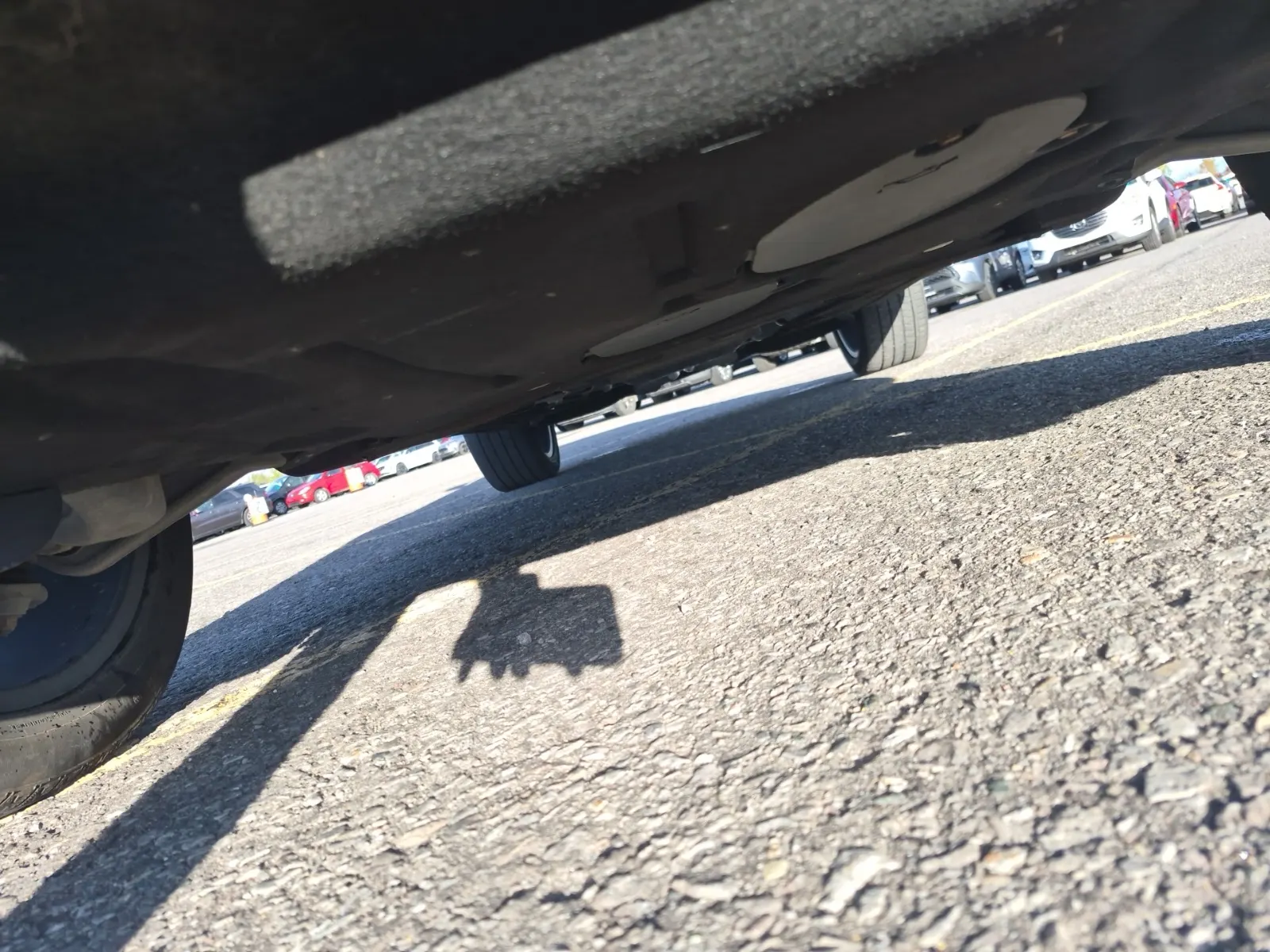 Undercarriage - Front Photo