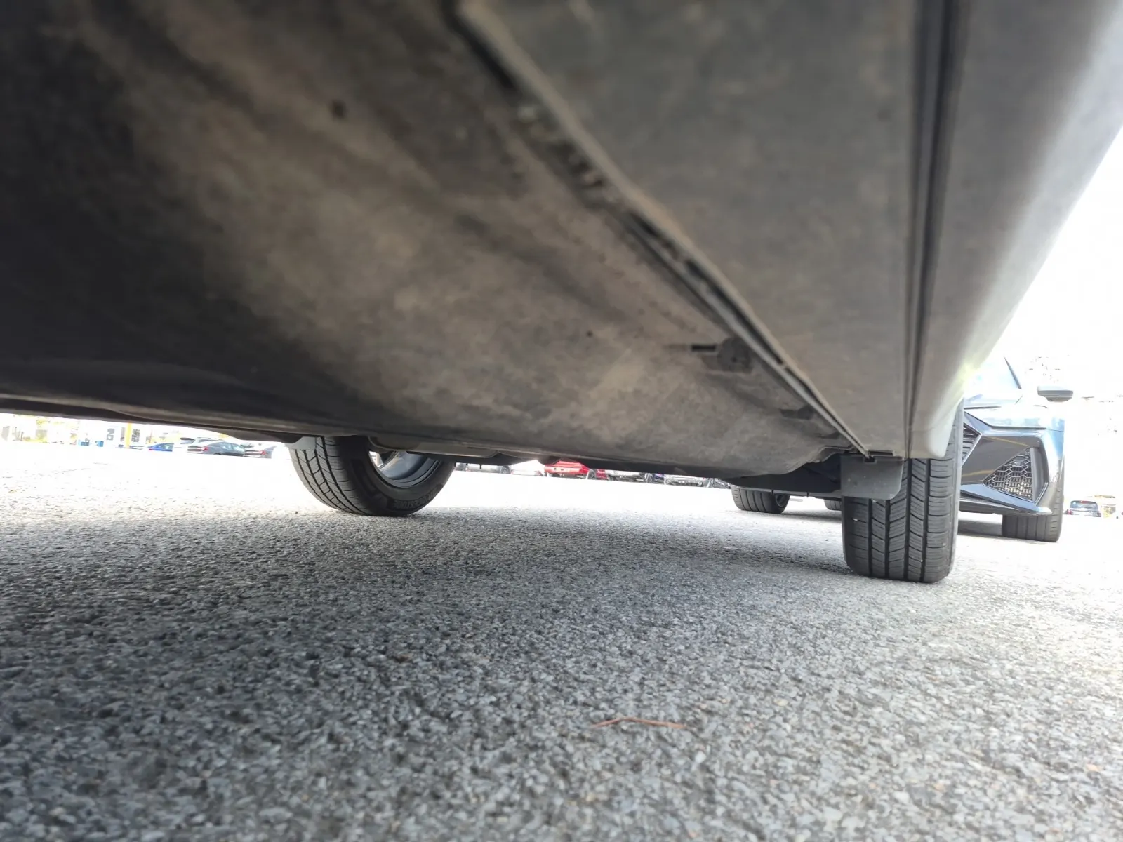 Undercarriage - Driver Photo