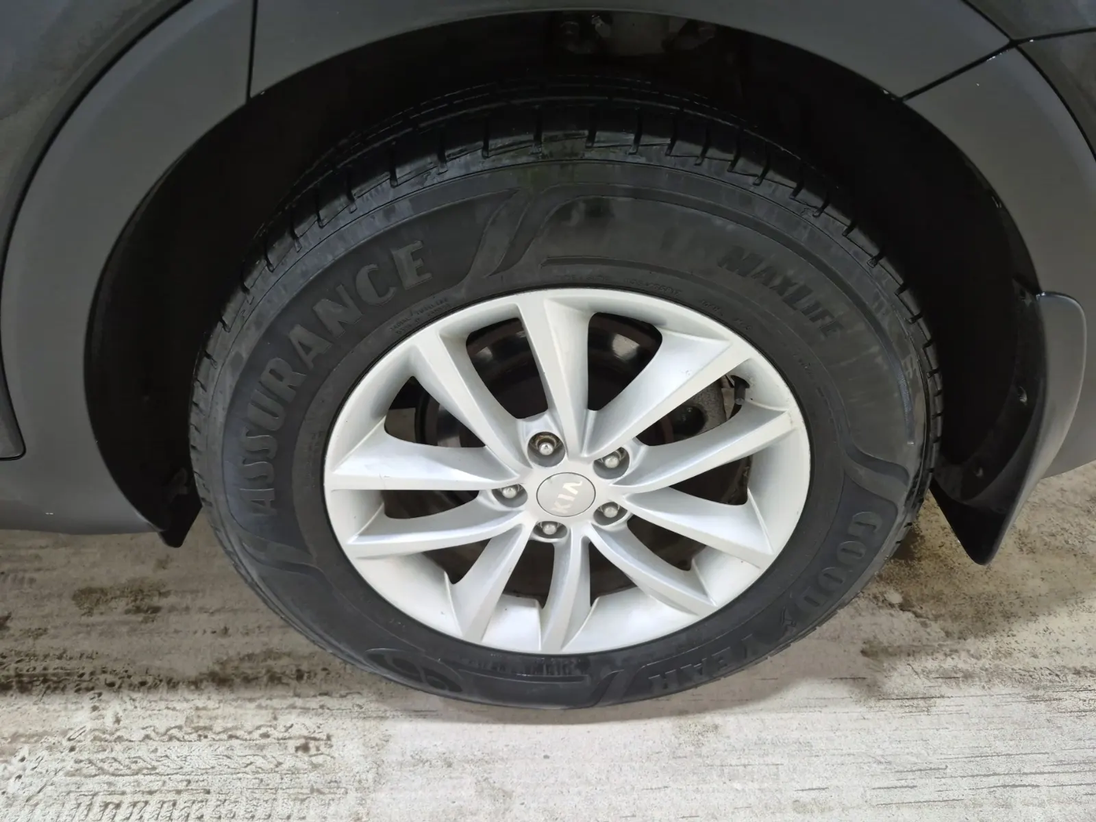 Left Rear Wheel/Tire Photo