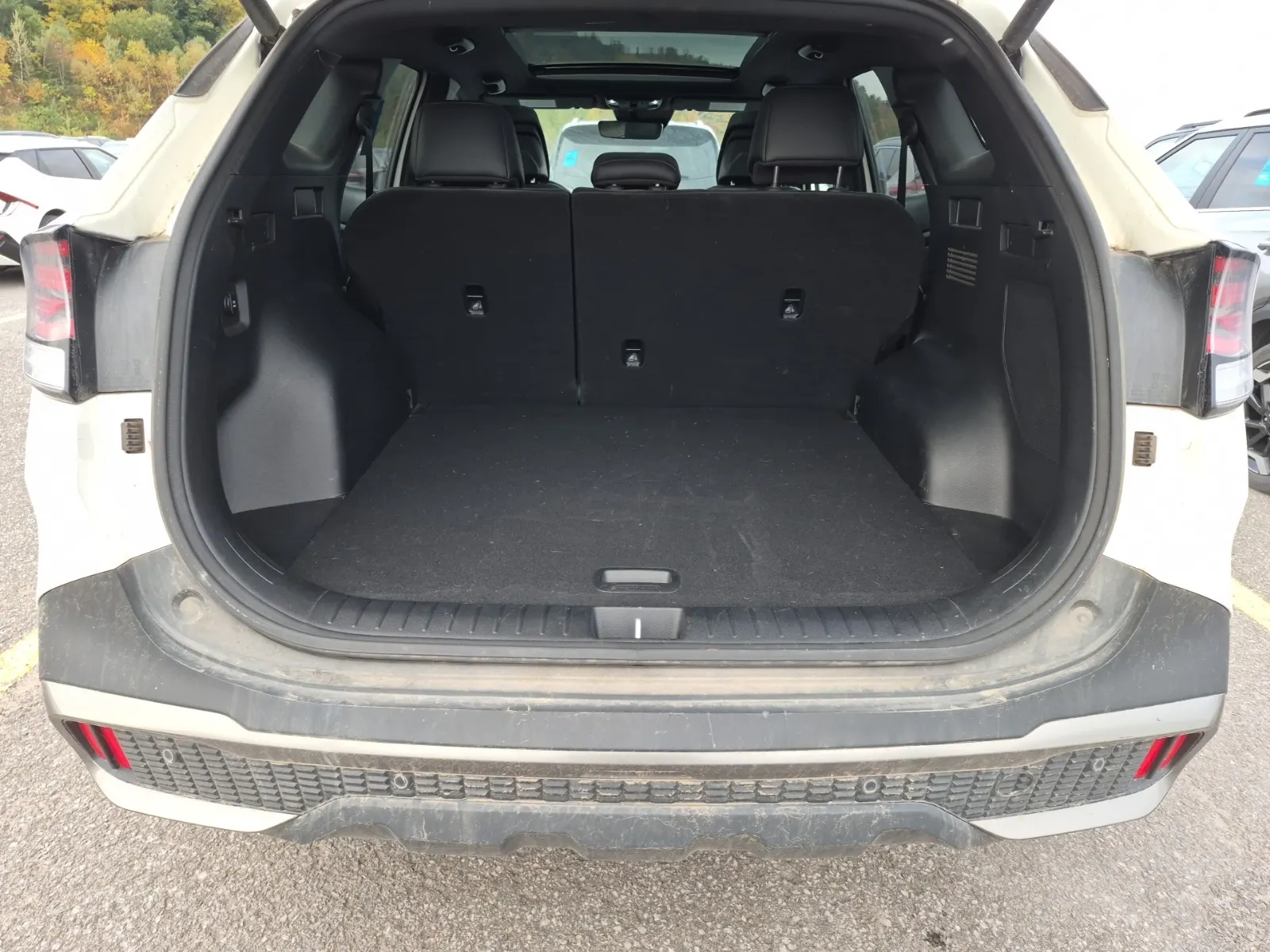 Cargo Area Photo