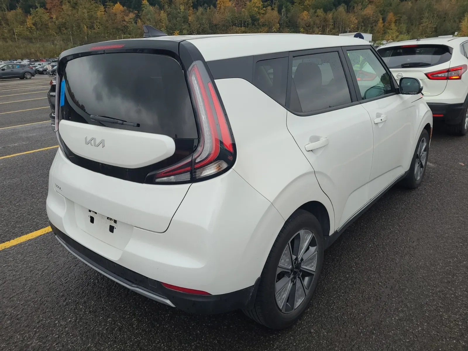 Passenger Rear 3/4 Photo