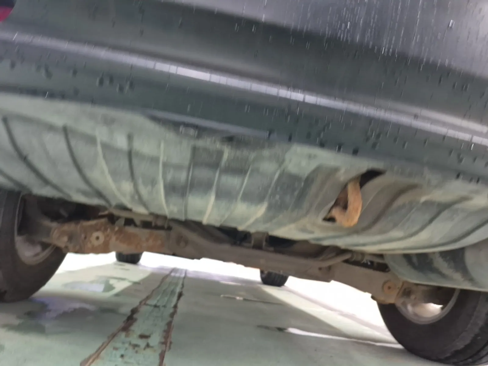 Undercarriage - Rear Photo