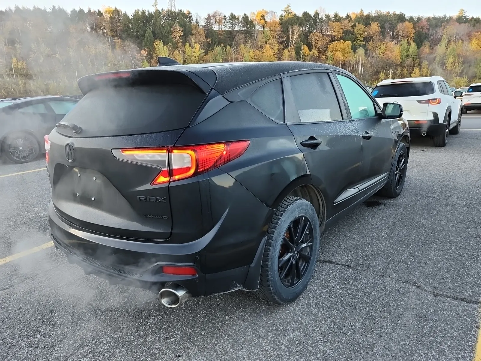 Passenger Rear 3/4 Photo
