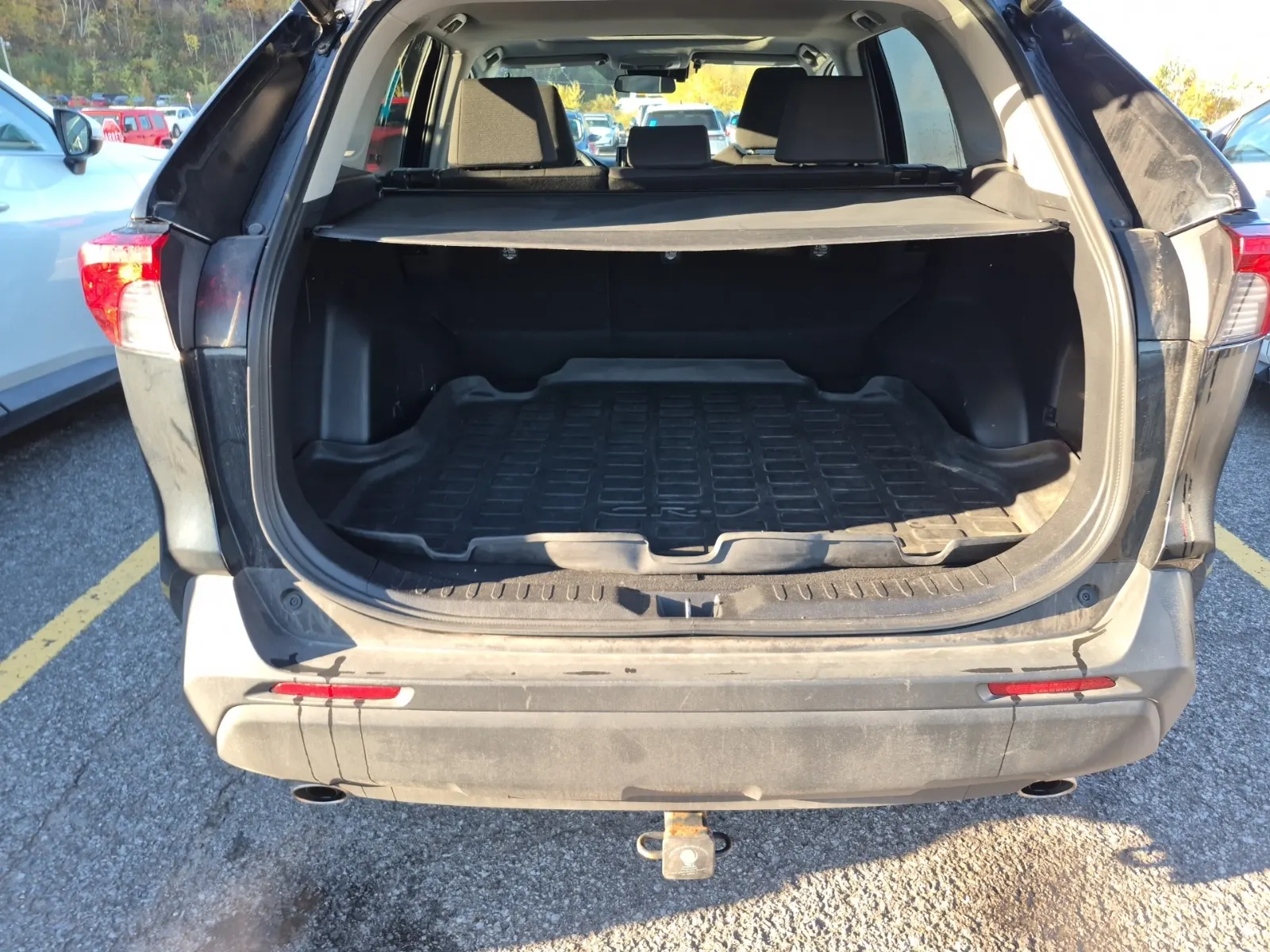 Cargo Area Photo