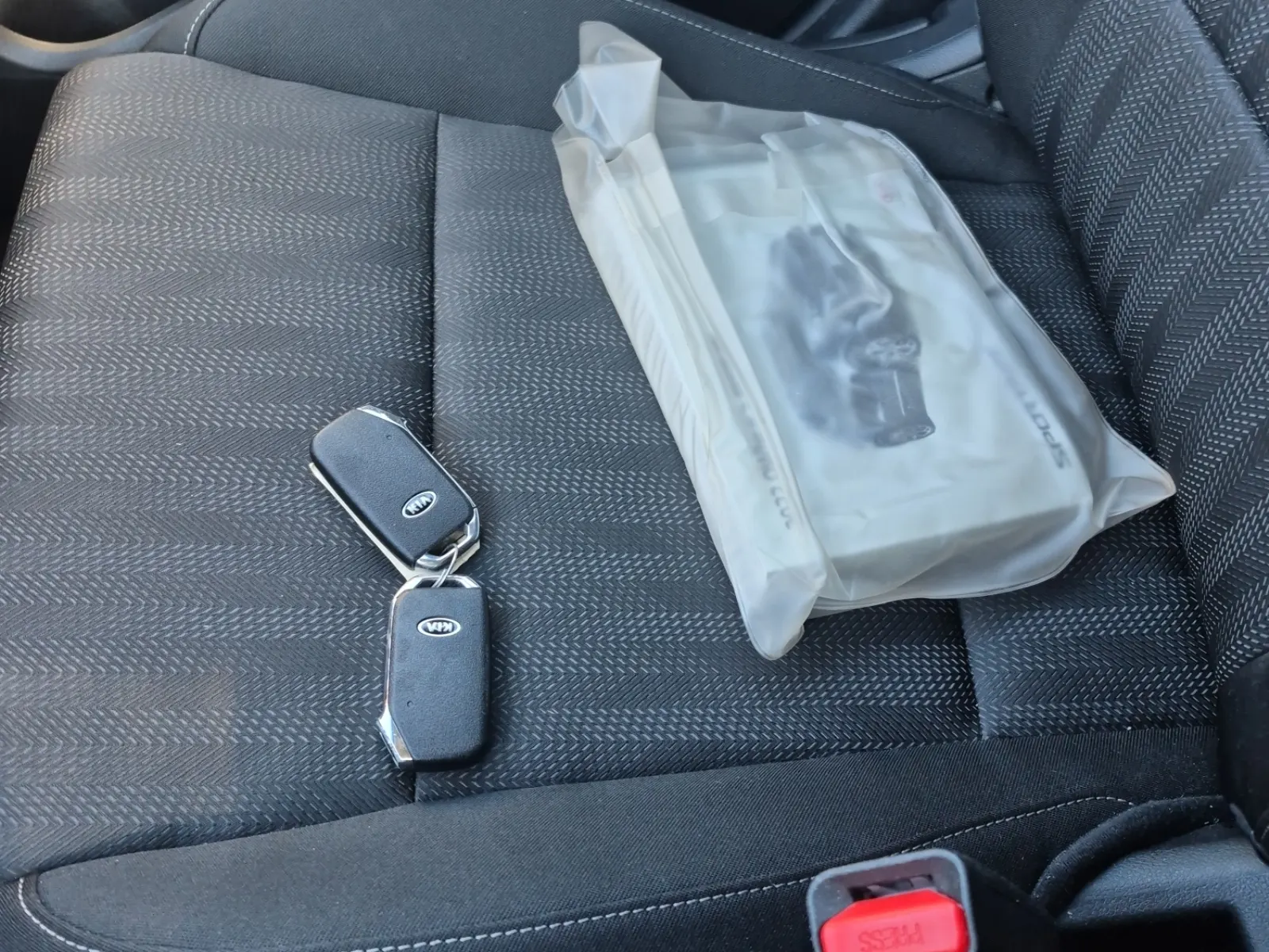 Keys/Fobs/Manual Photo