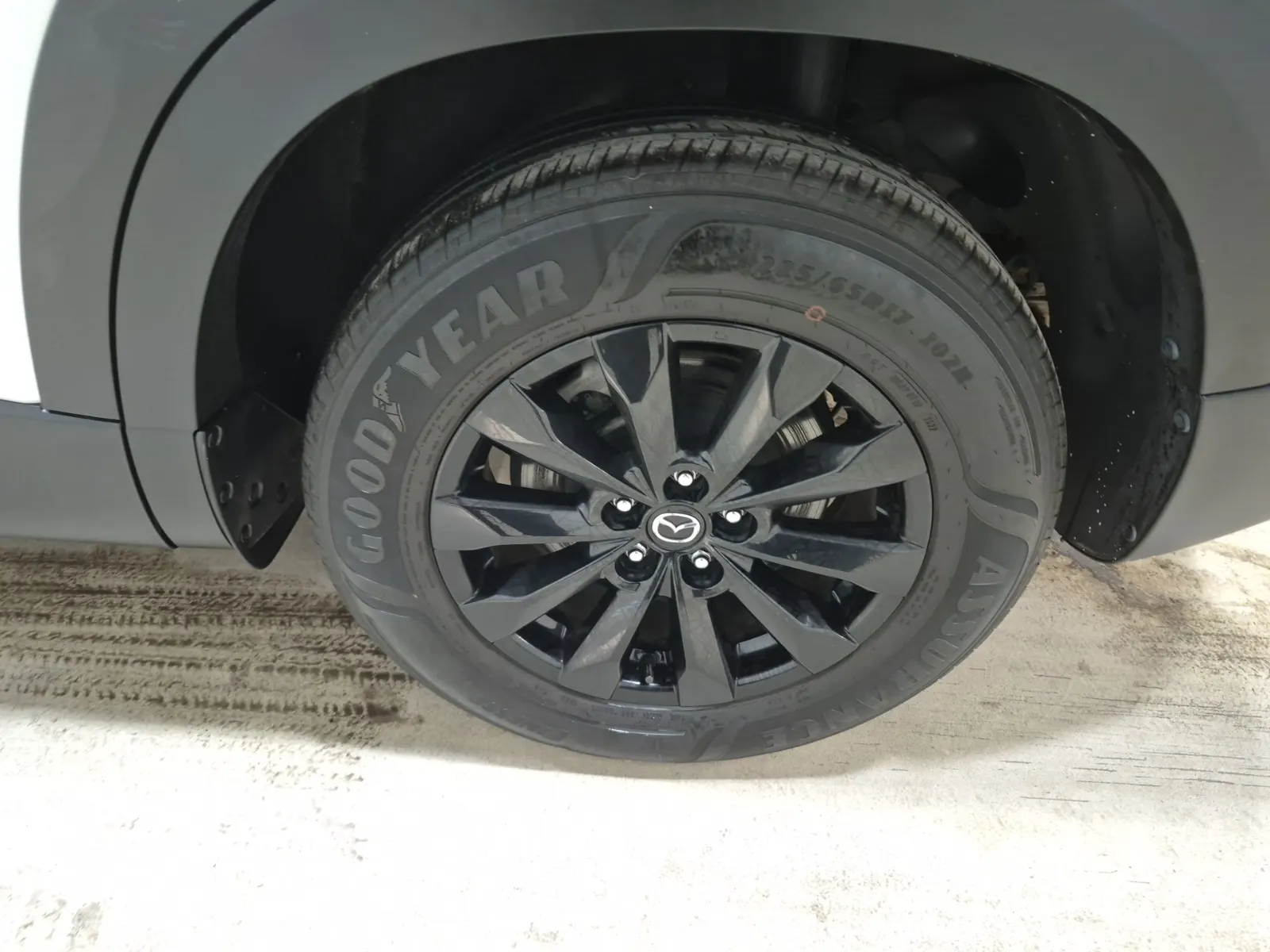 Left Rear Wheel/Tire Photo