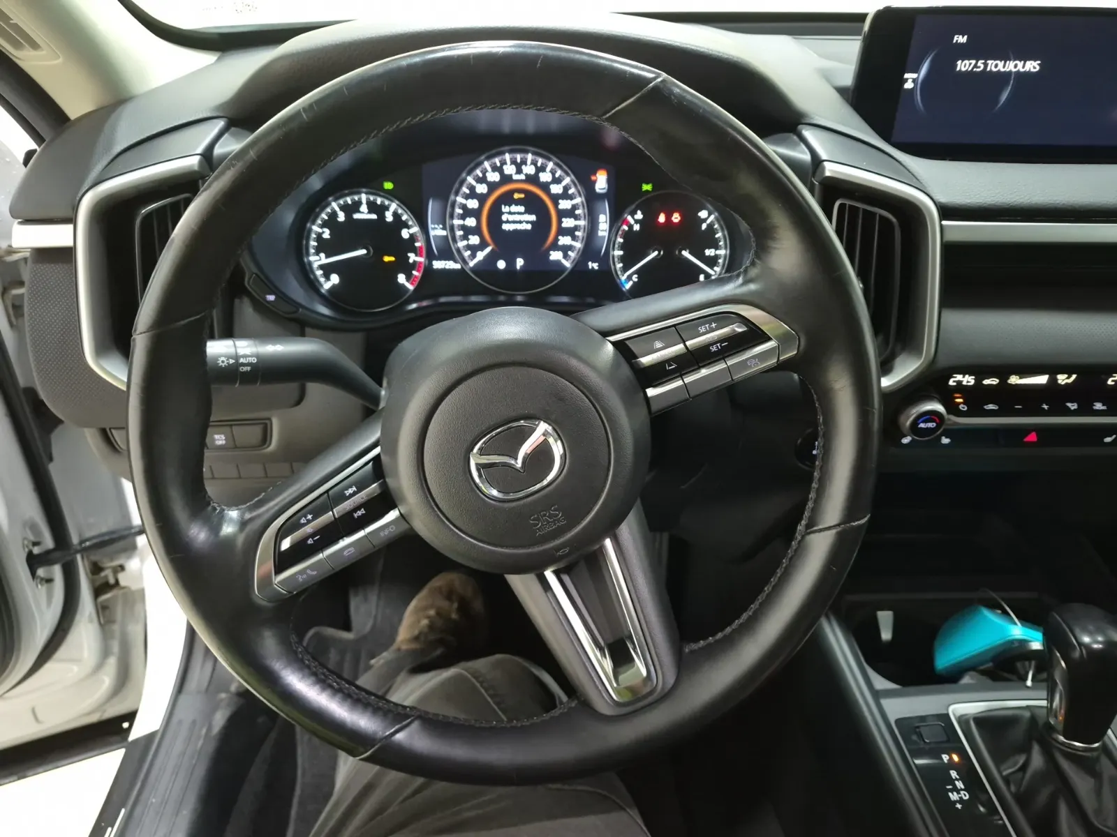 Steering Wheel