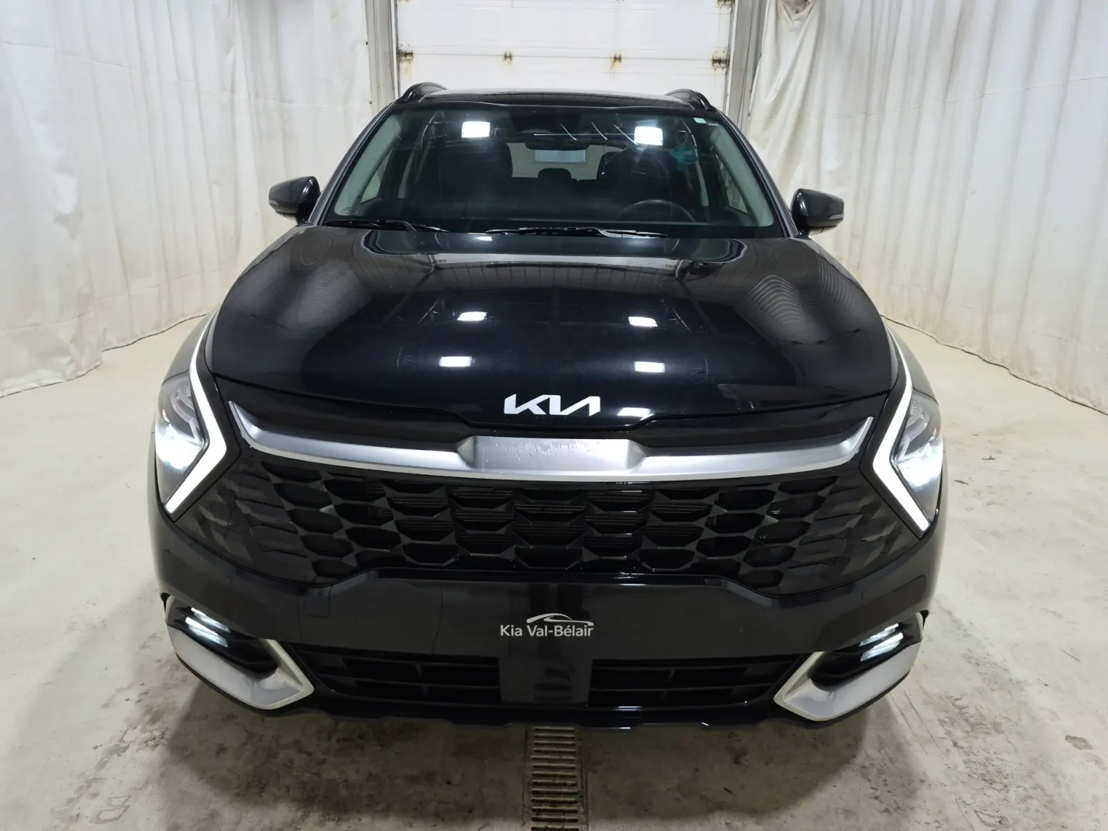 Full Front Photo