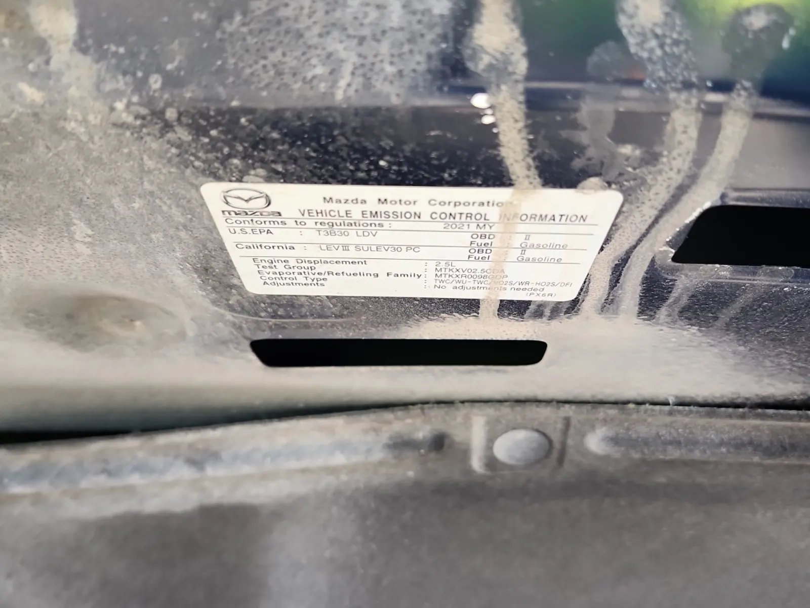 Emission Sticker Photo