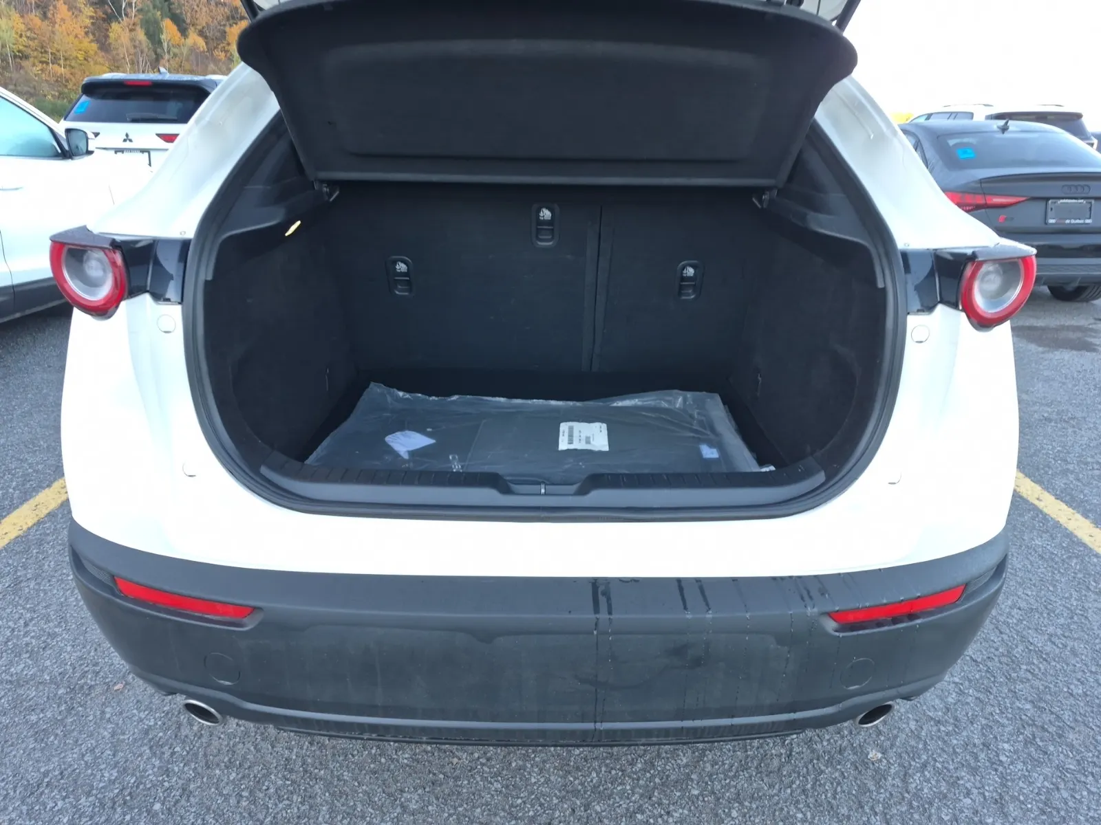 Cargo Area Photo