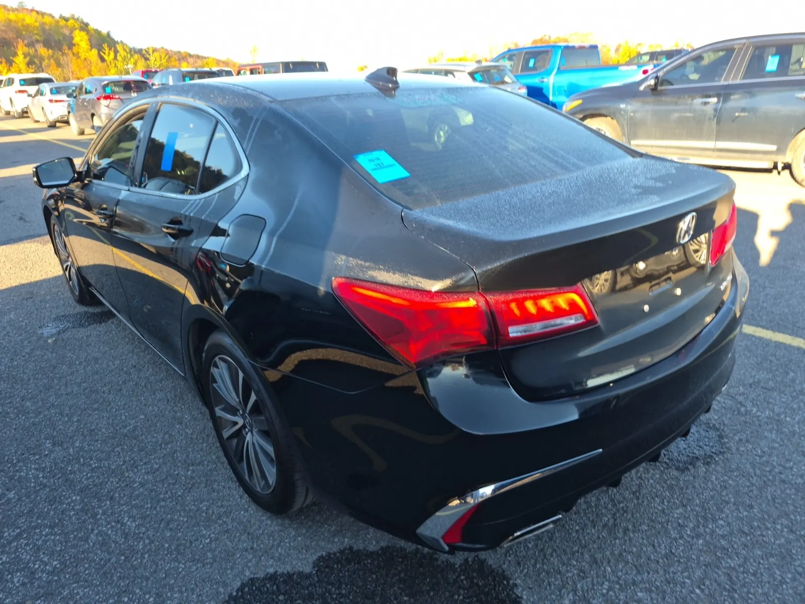 Driver Rear 3/4 Photo