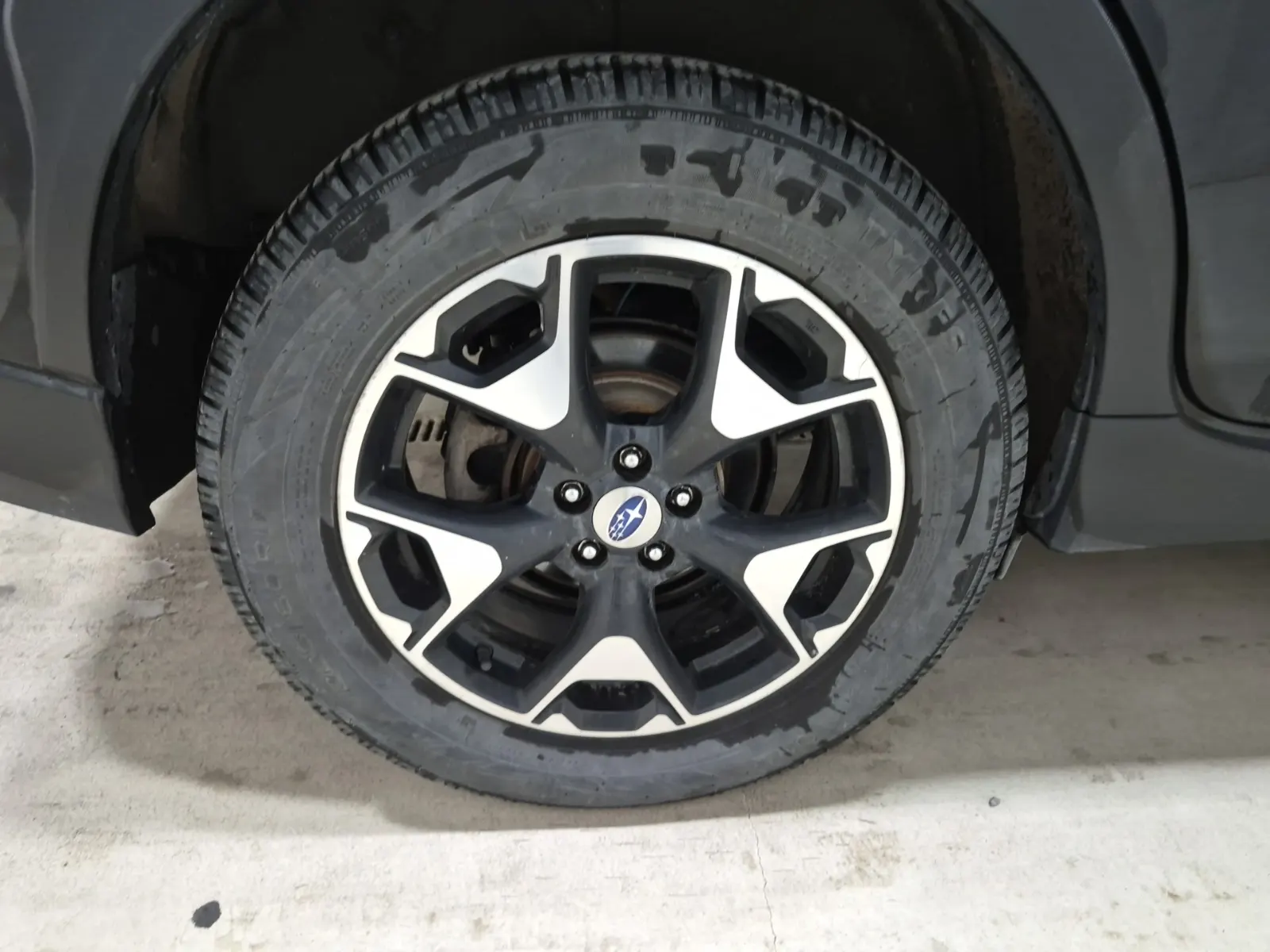 Right Rear Wheel/Tire Photo