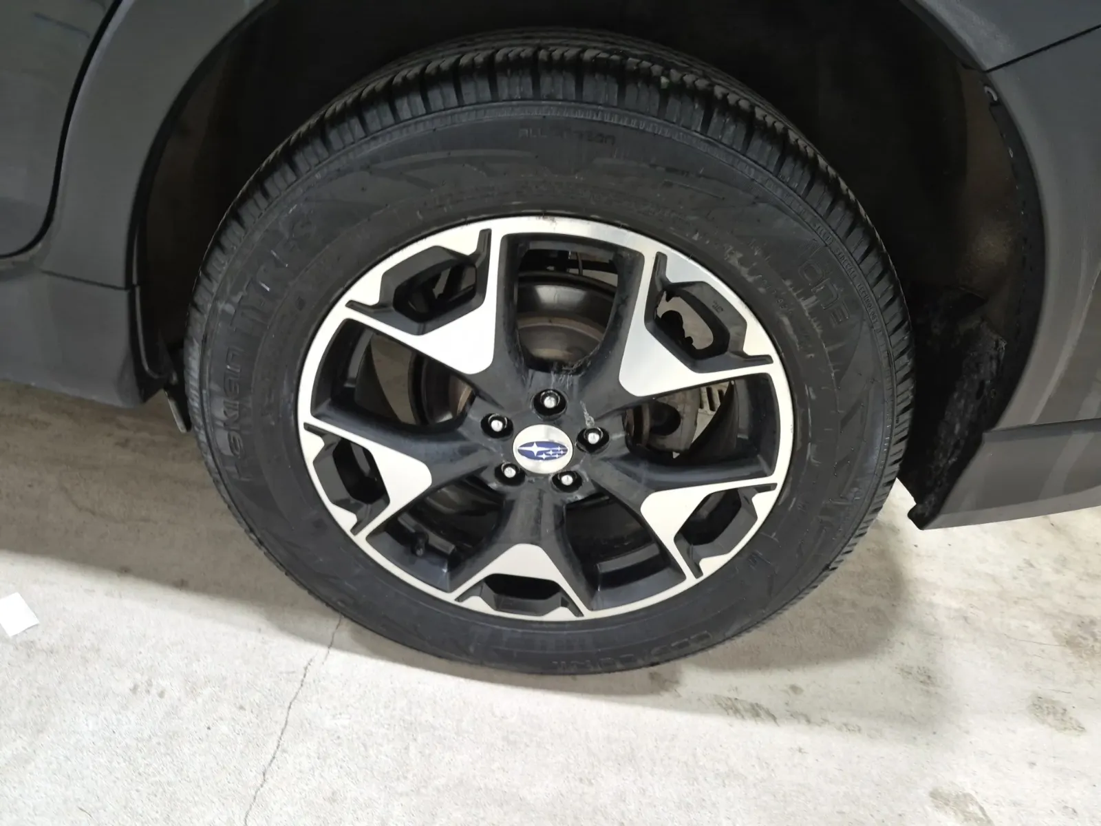 Left Rear Wheel/Tire Photo