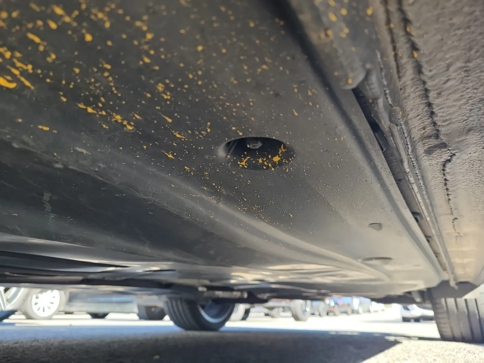 Undercarriage - Driver Photo