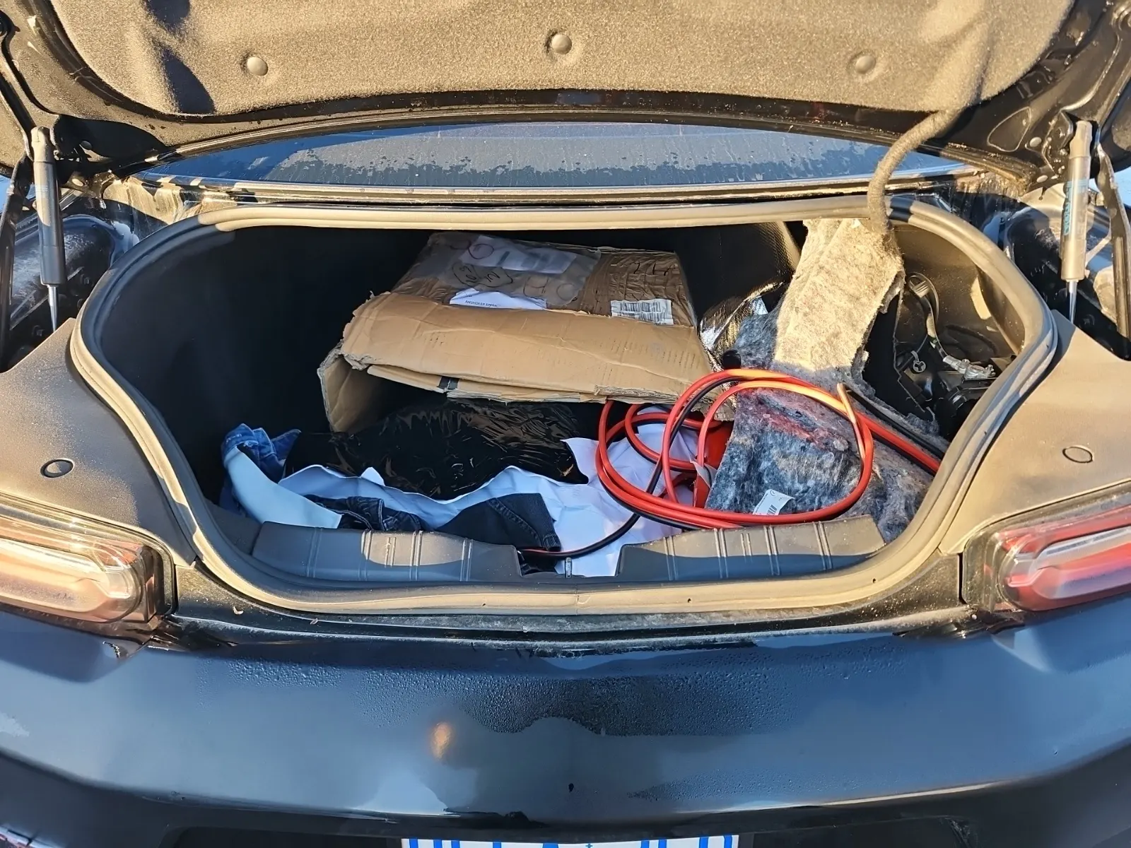 Cargo Area Photo