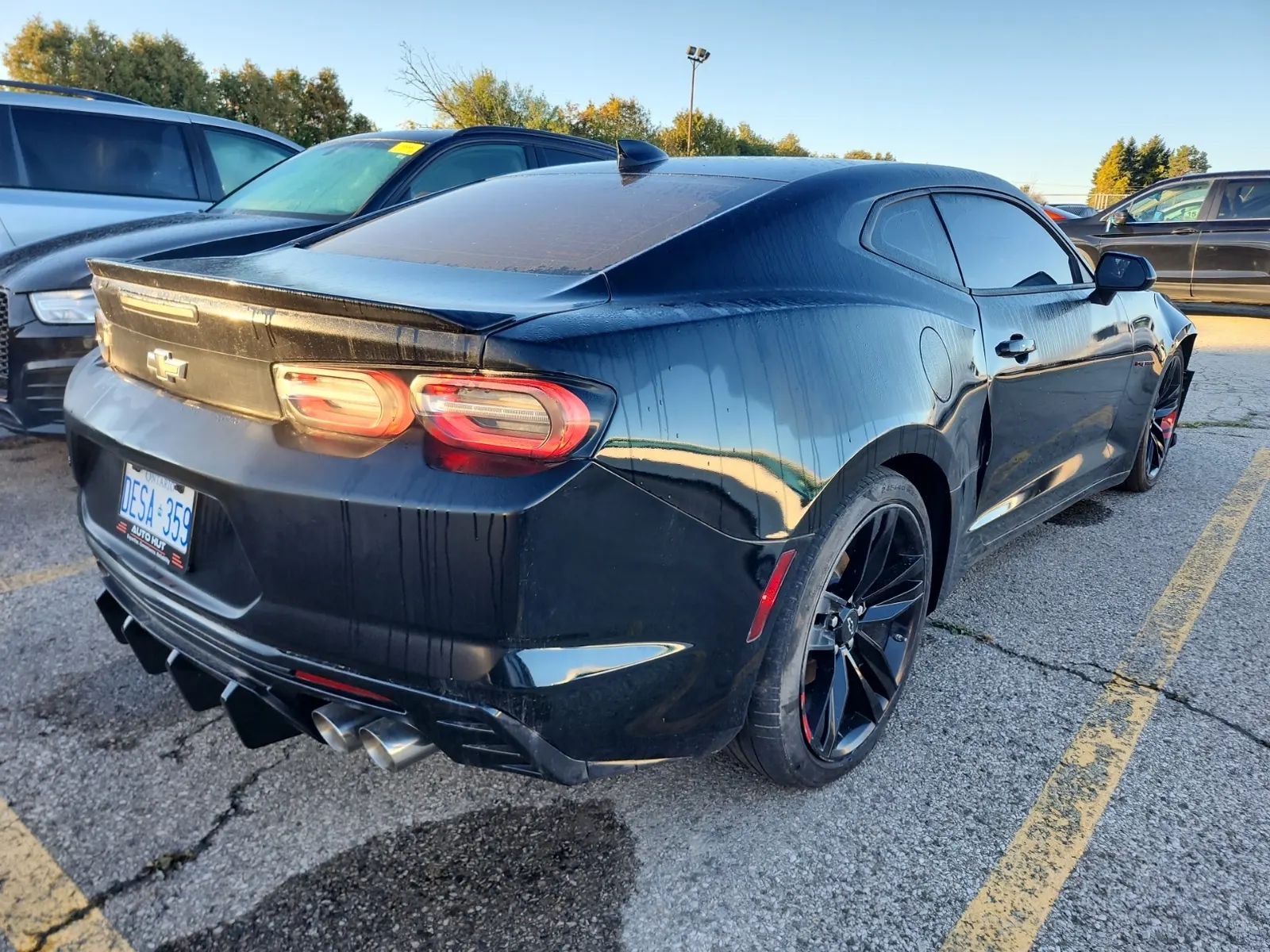 Passenger Rear 3/4 Photo