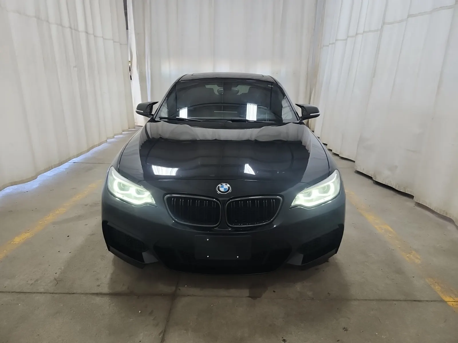 Full Front Photo