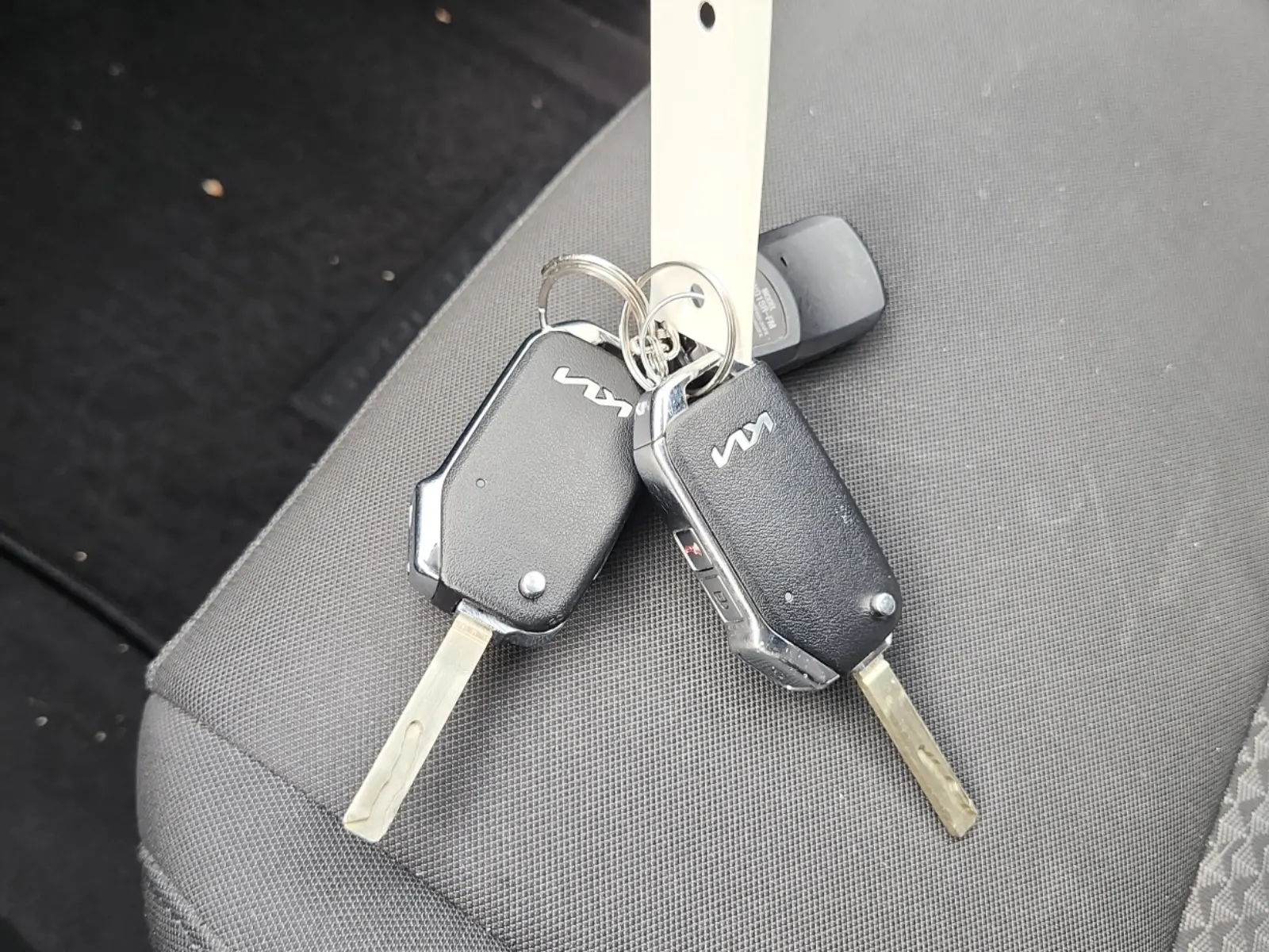 Keys/Fobs/Manual Photo