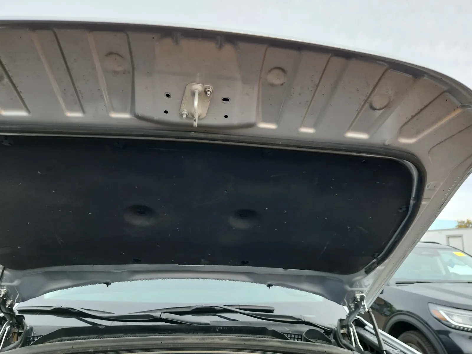 Emission Sticker Photo