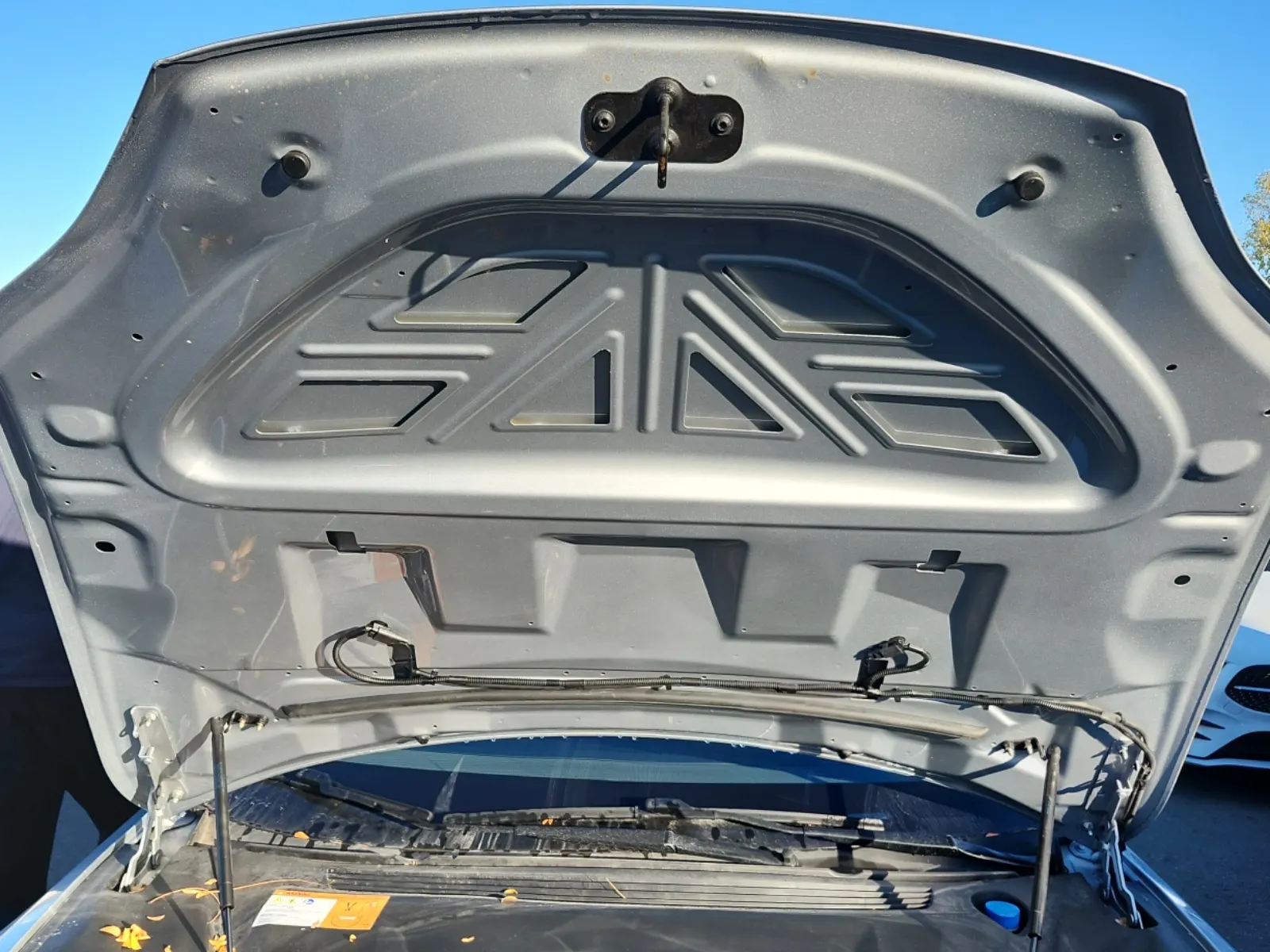 Emission Sticker Photo