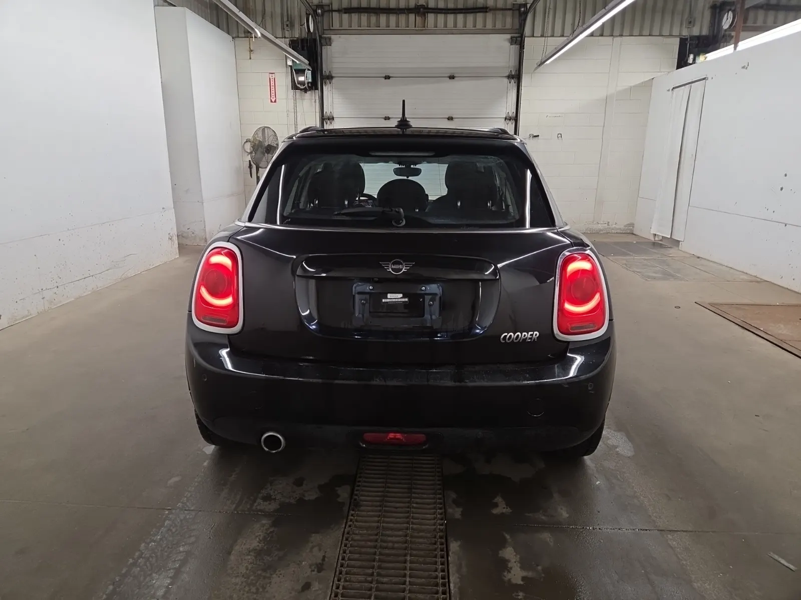 Full Rear Photo