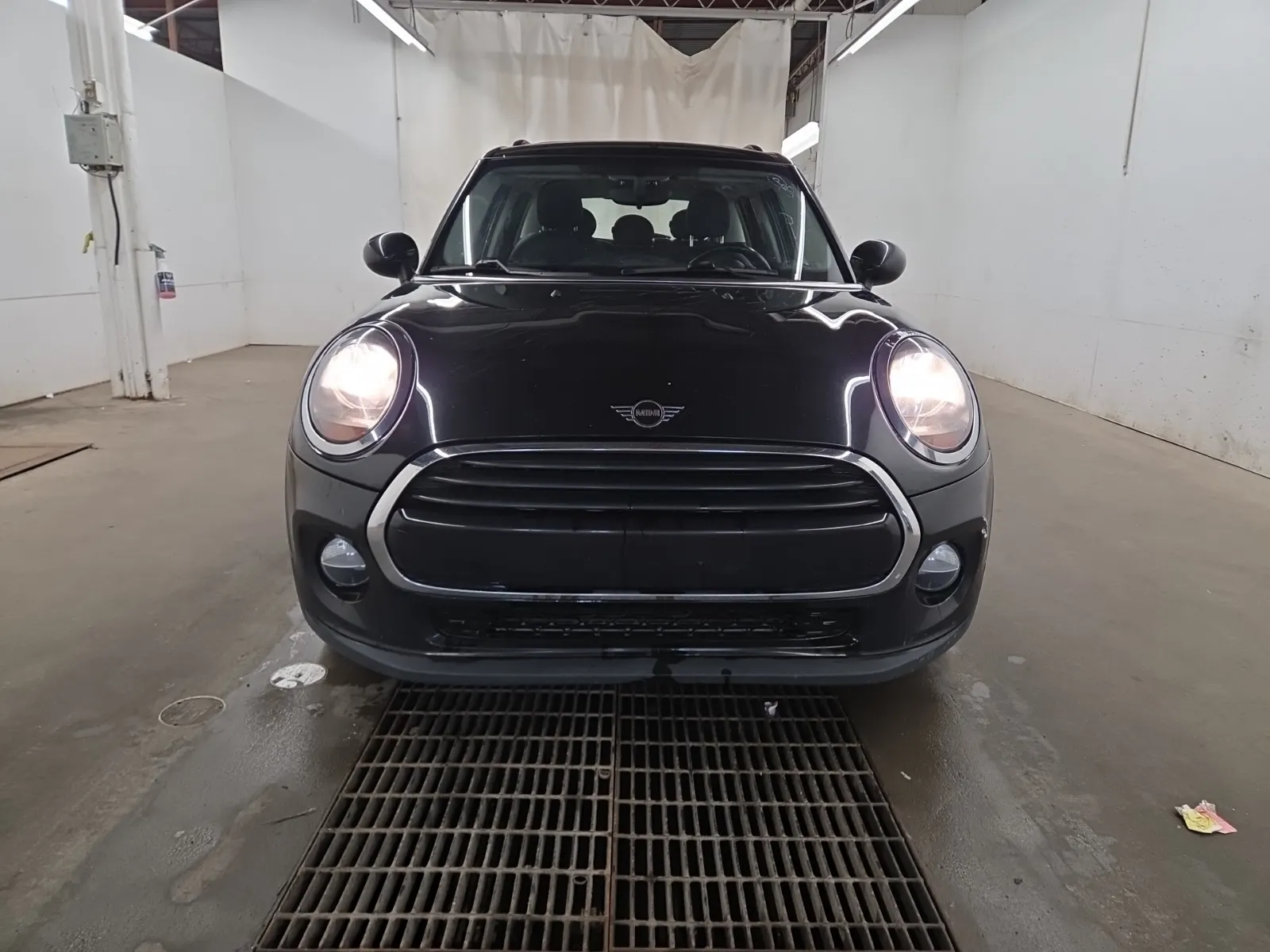 Full Front Photo