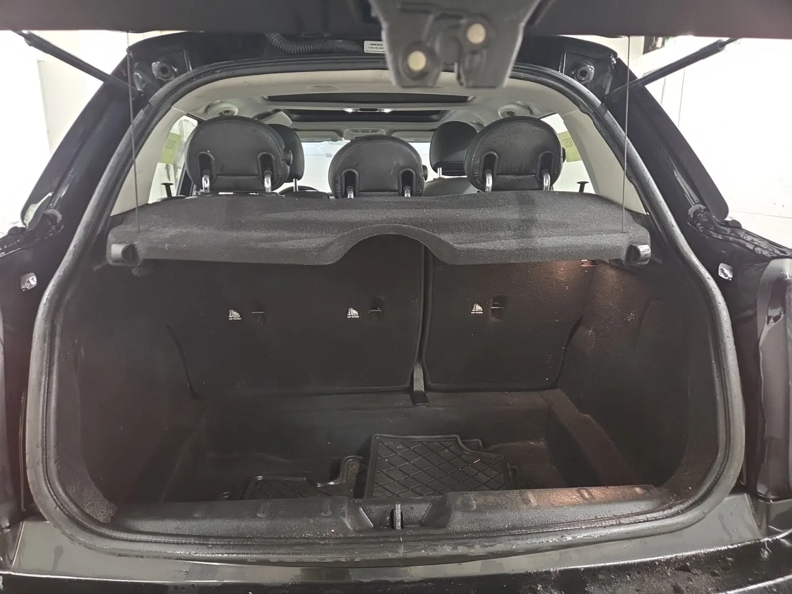 Cargo Area Photo