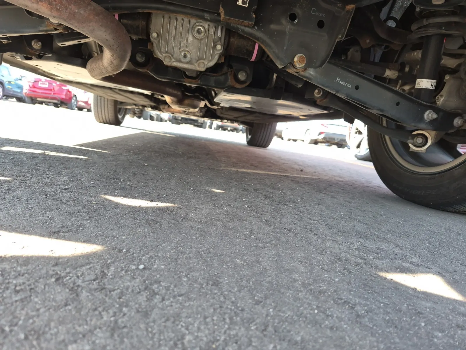 Undercarriage - Rear Photo