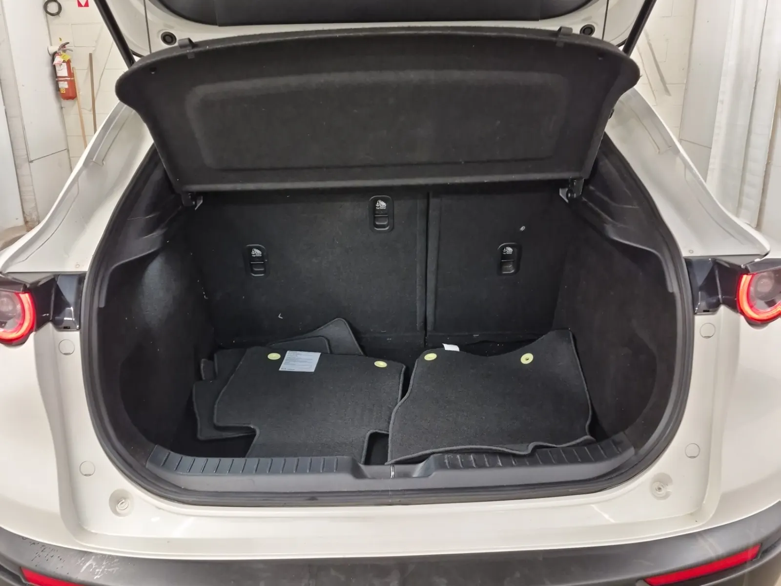 Cargo Area Photo