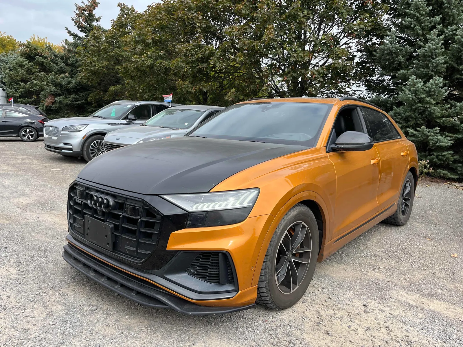 2019 Audi Q8