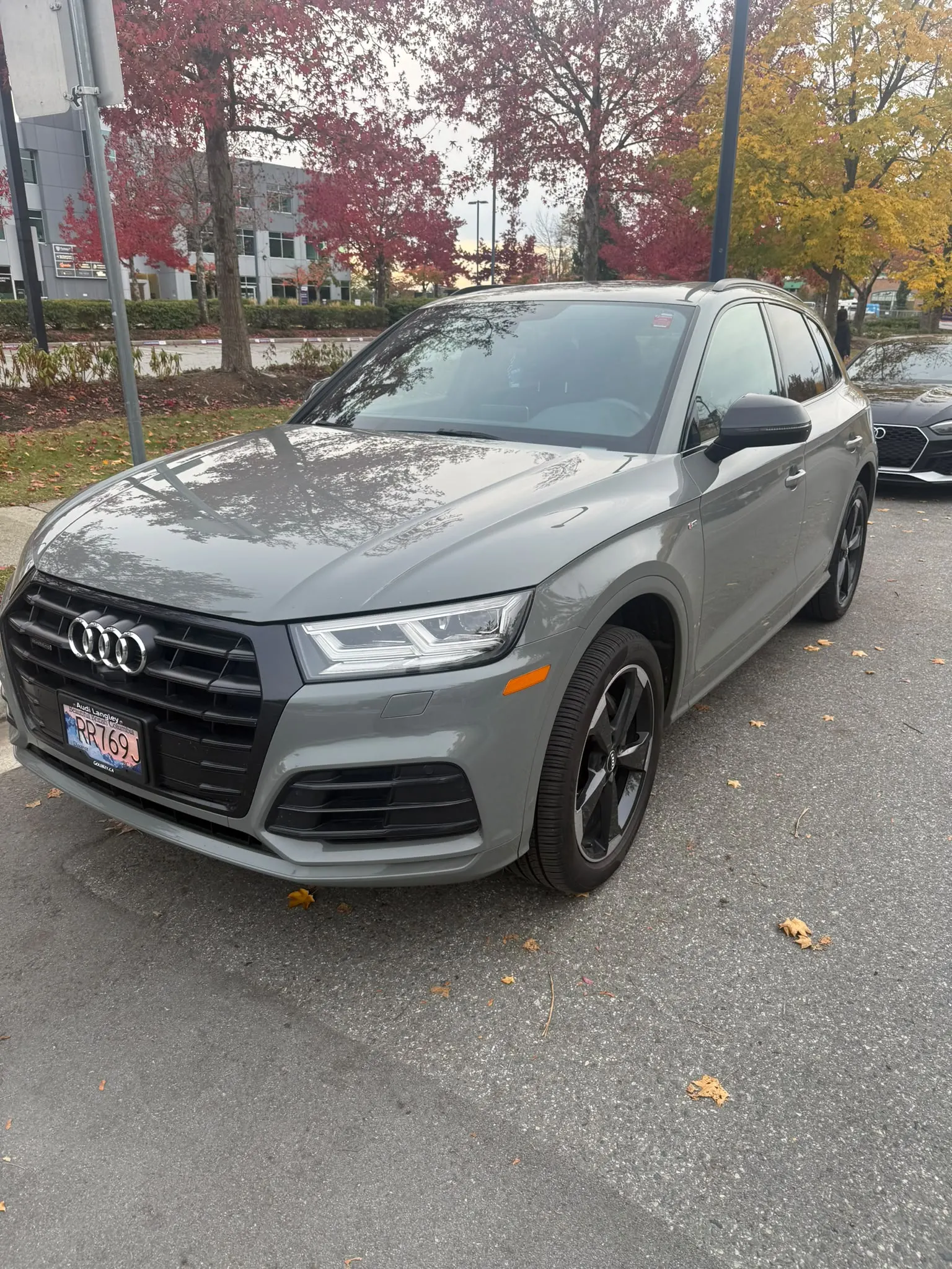 2019 Audi Q5