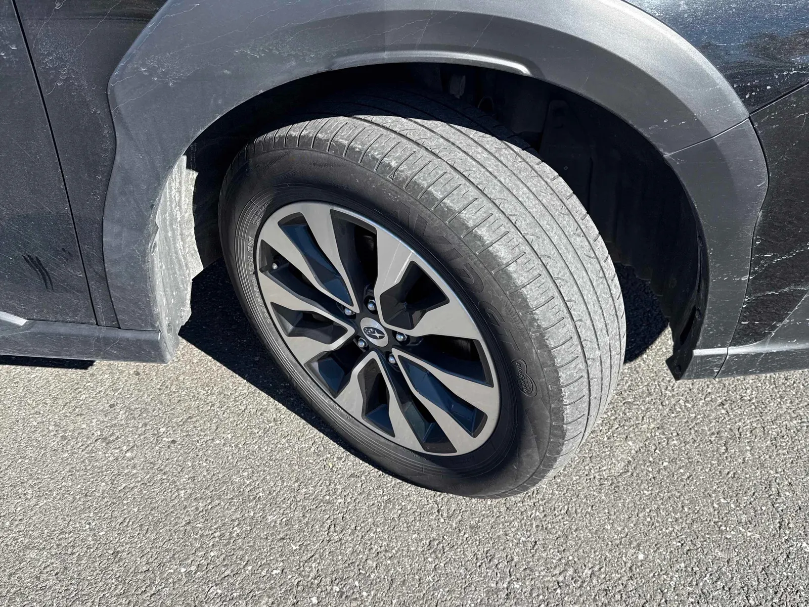 Tire