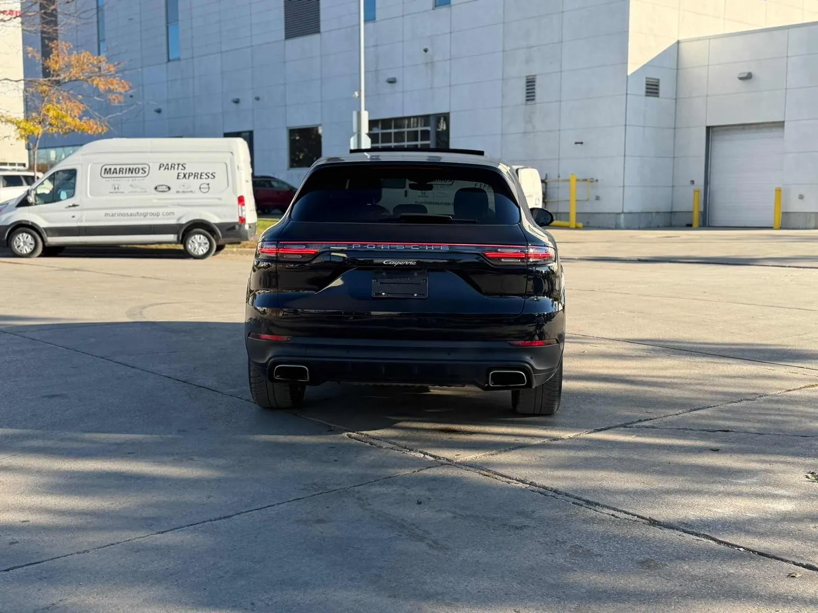 Back