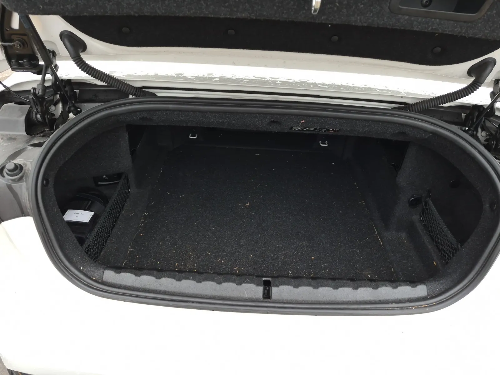 Cargo Area Photo