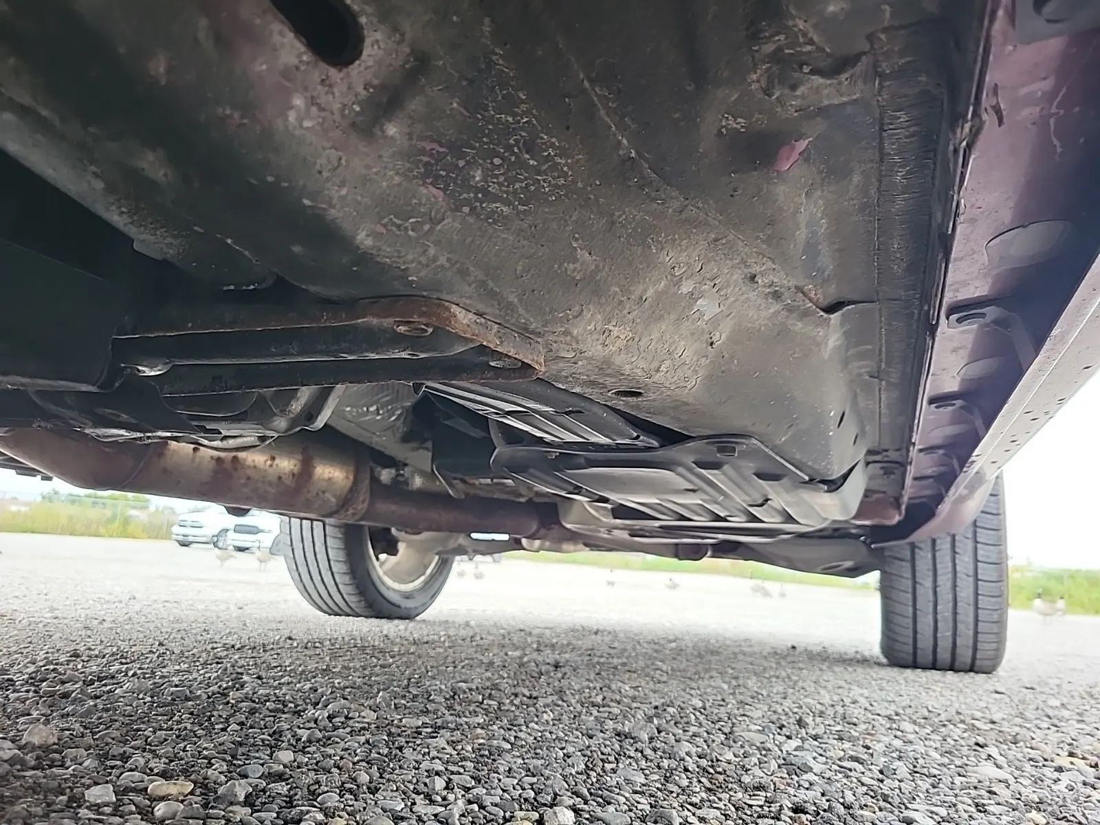Undercarriage - Driver Photo