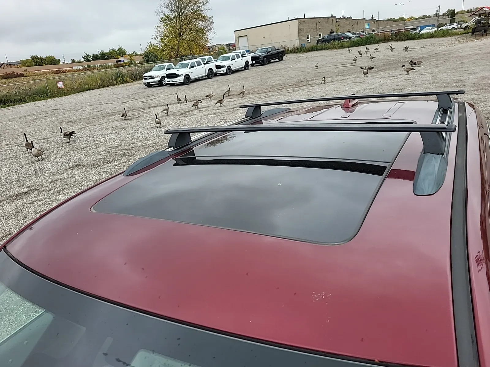 Exterior Roof Photo