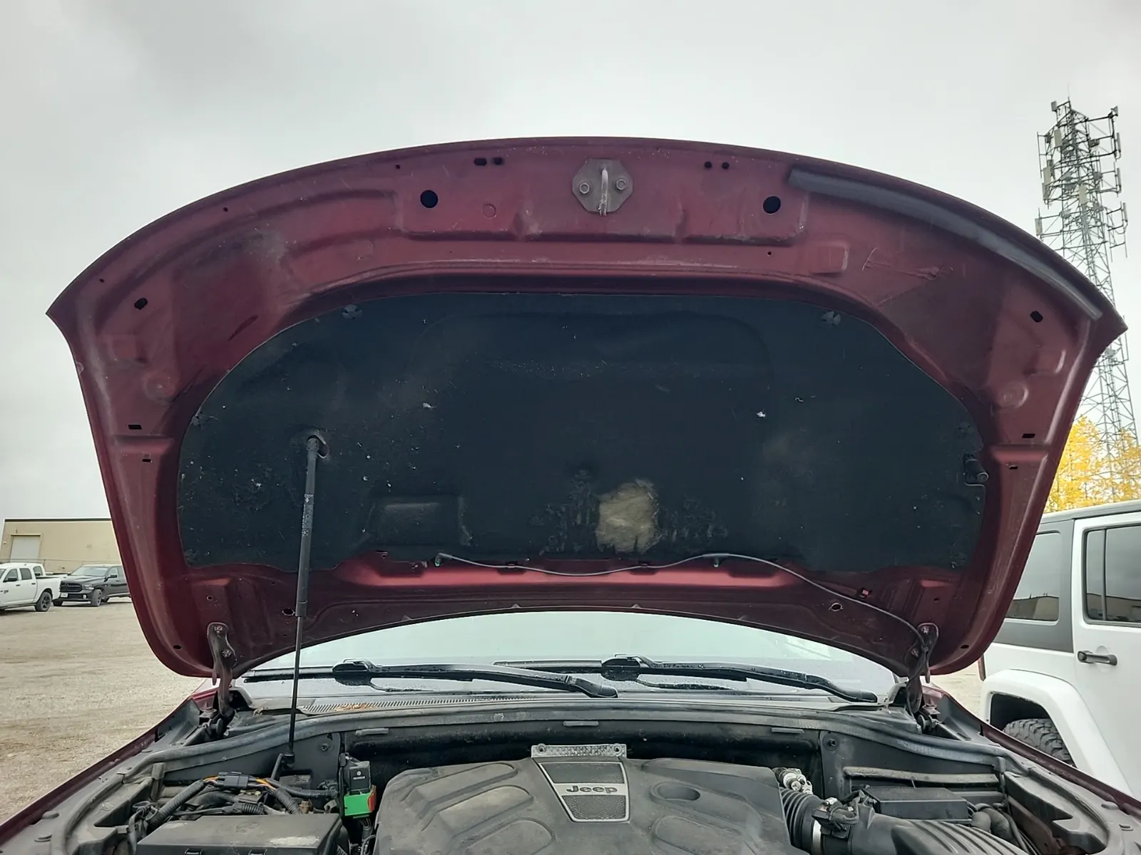 Emission Sticker Photo