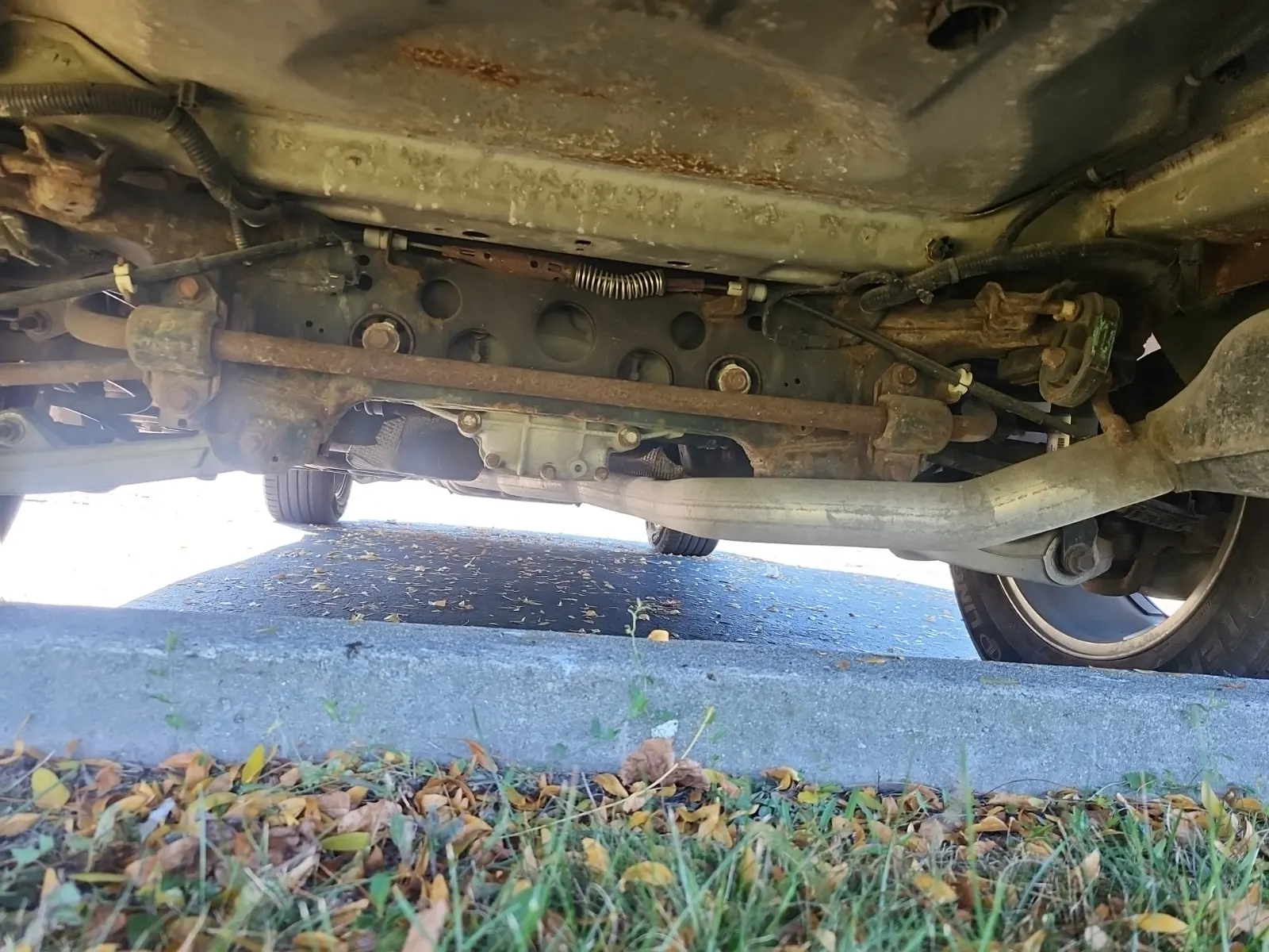 Undercarriage - Rear Photo