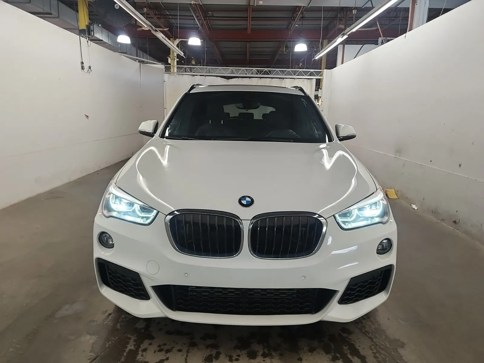 Full Front Photo