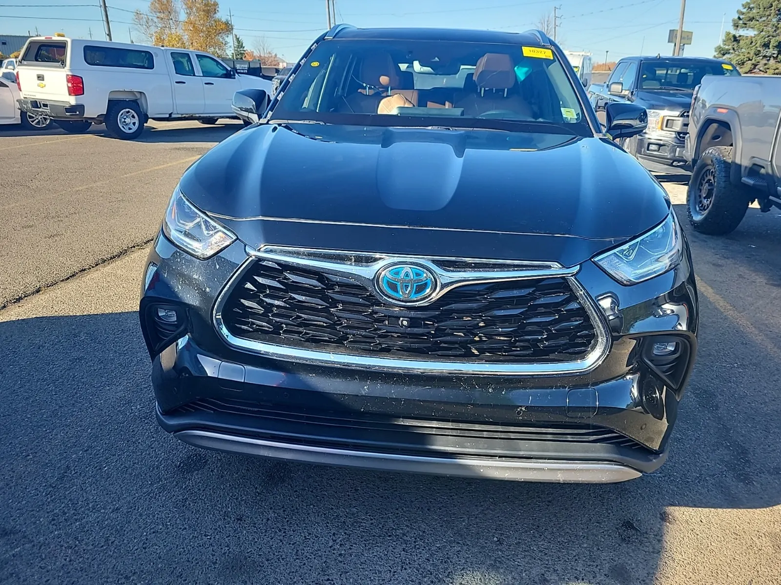 Full Front Photo