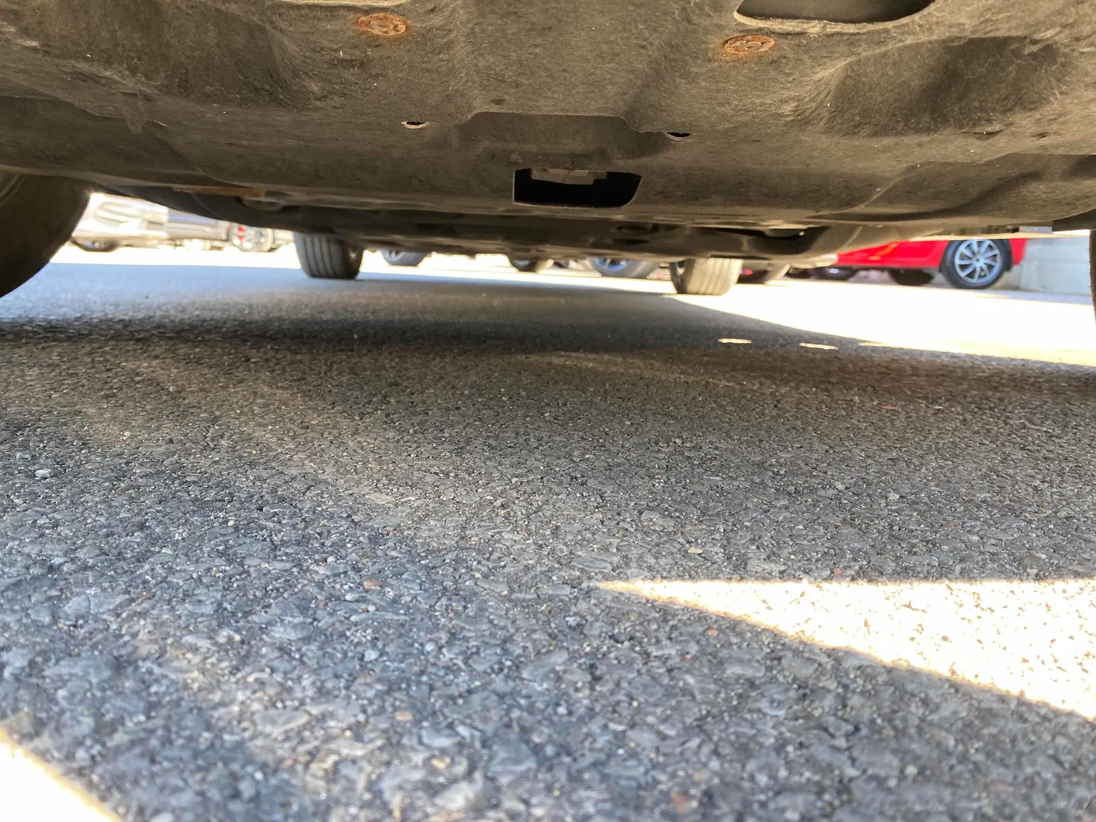 Additional Photo