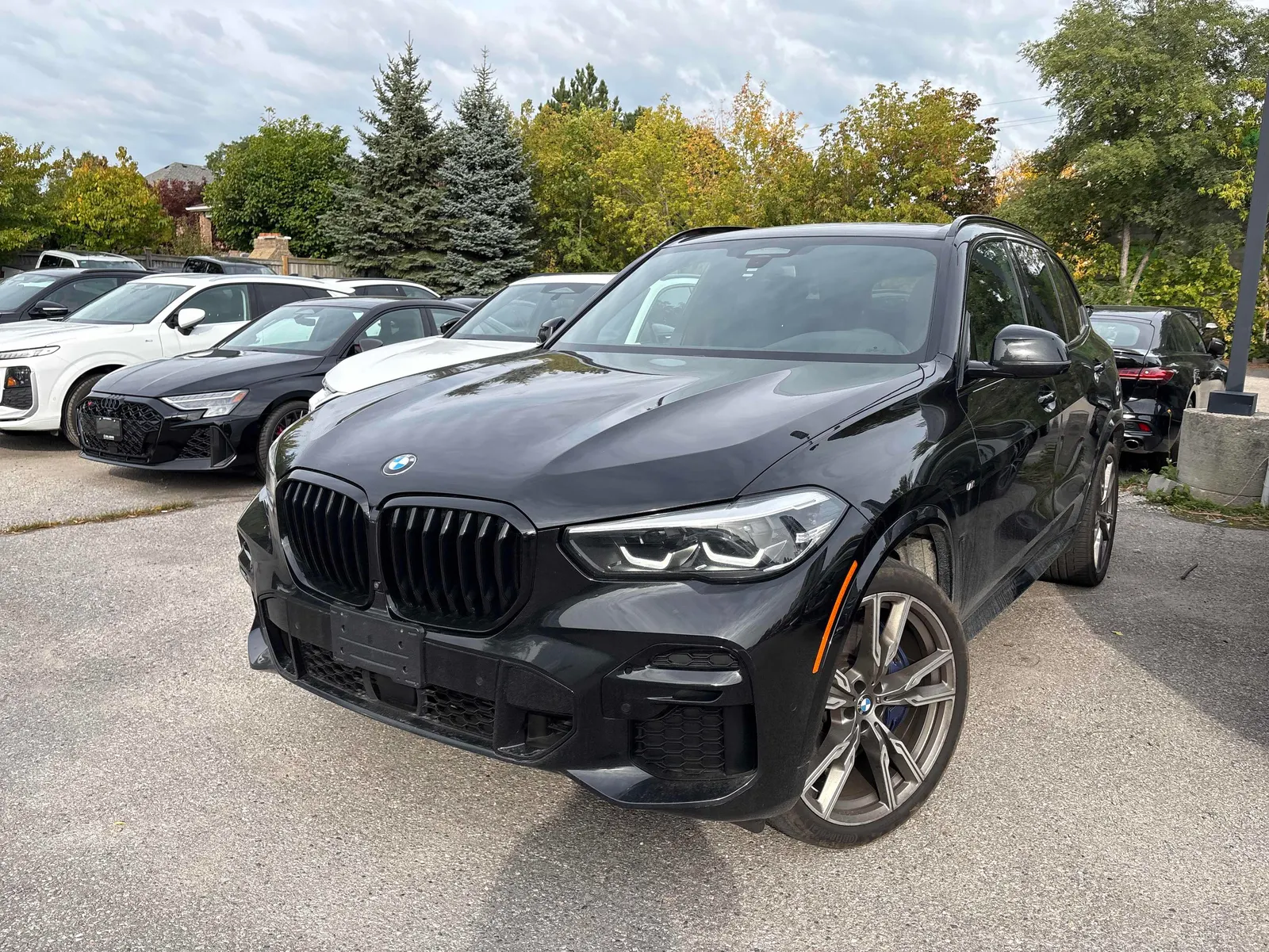 2023 BMW X5