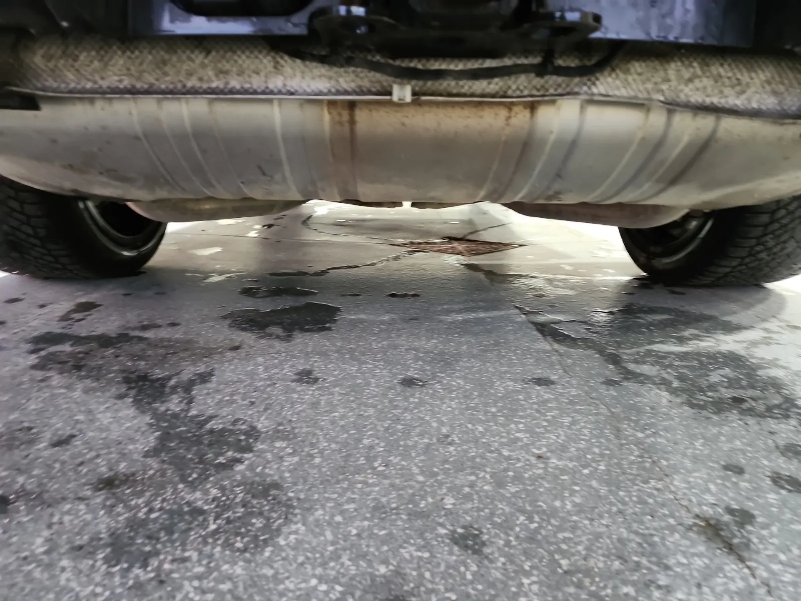 Undercarriage - Rear Photo