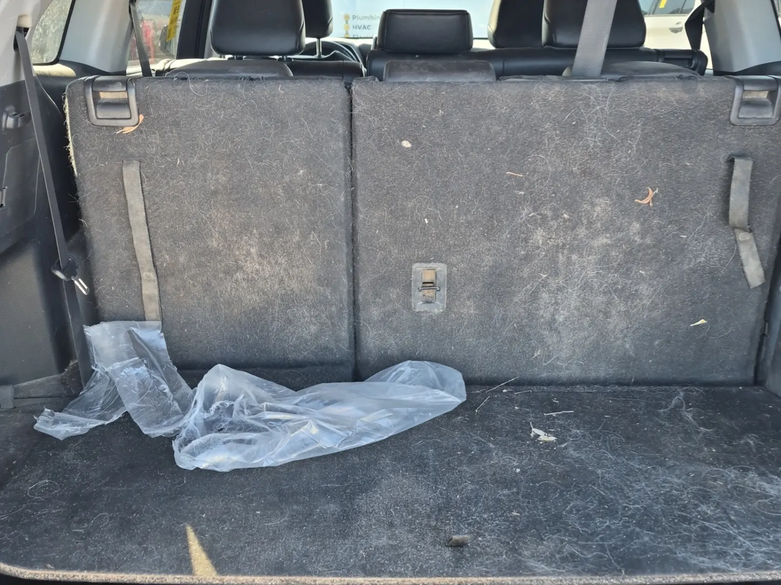 Cargo Area Photo